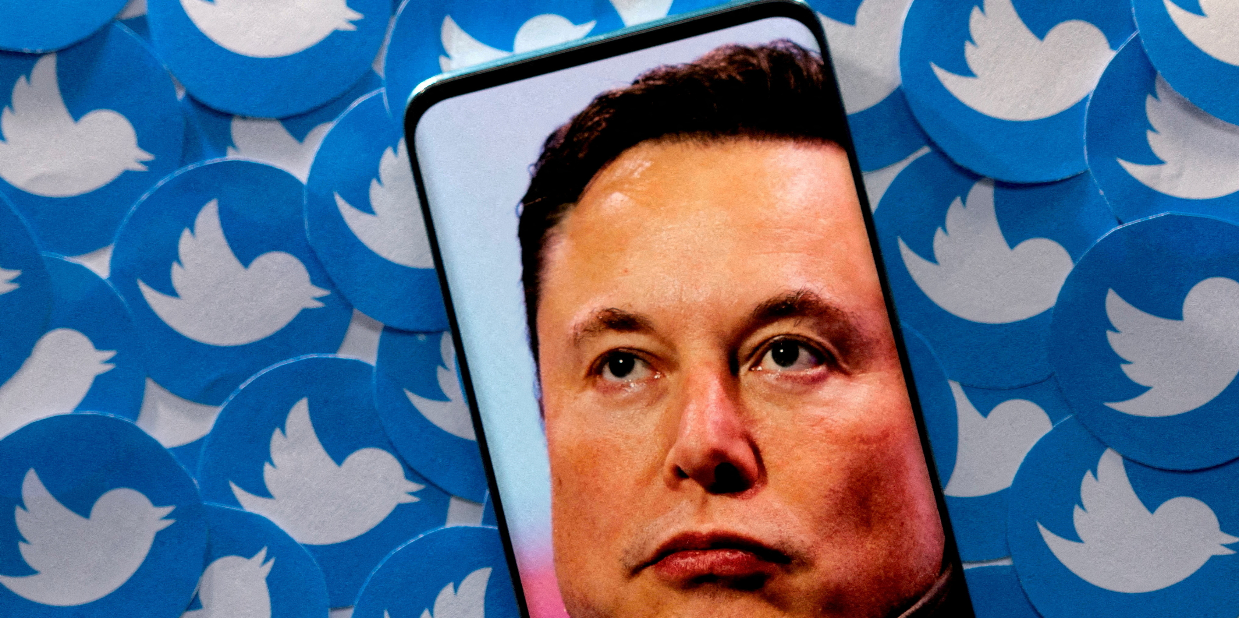 Un nouvel argument contre Twitter pour Elon Musk