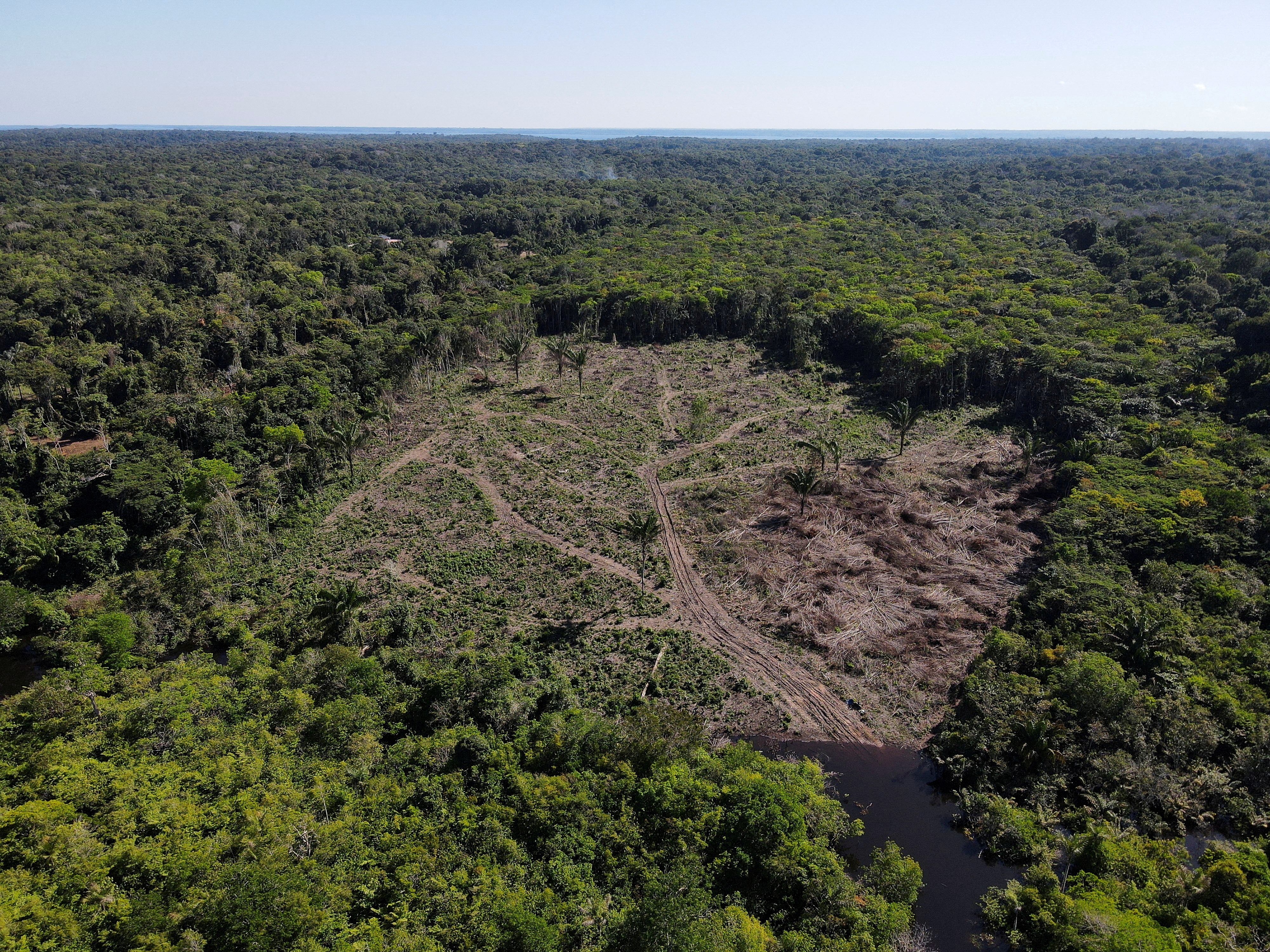 La Norvège relance ses aides au Brésil pour lutter contre la déforestation de l'Amazonie