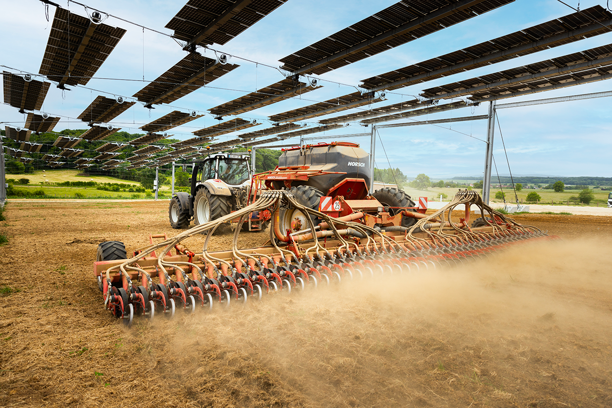 Énergies renouvelables : plutôt que d'accélérer, les députés freinent sur l'agrivoltaïsme