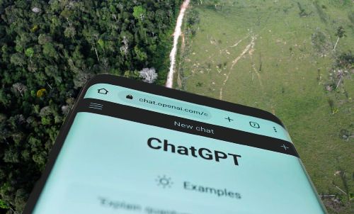 Déforestation en Amazonie : ce que je retire de ma discussion avec ChatGPT