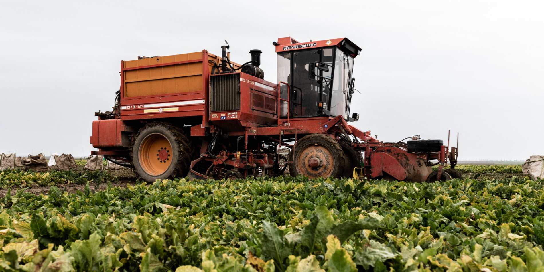 Agriculture : le gouvernement débloque 400 millions d'euros pour l'achat d'équipements « innovants »