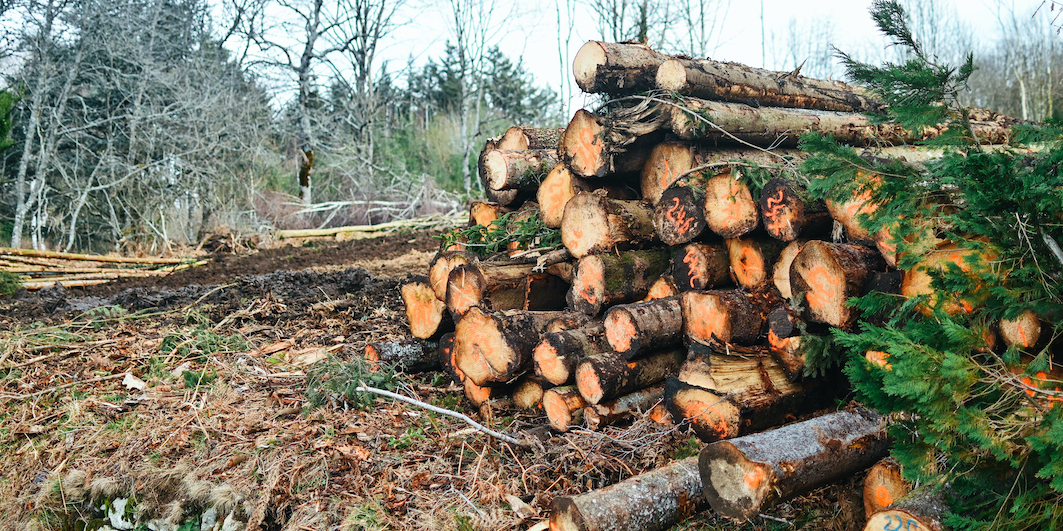 L'Union européenne met les forêts françaises en danger!