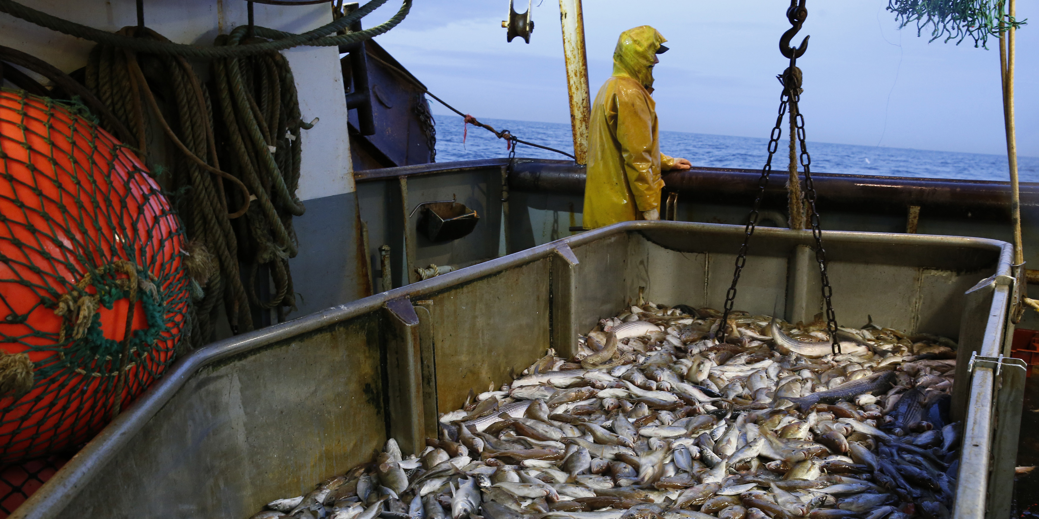 L'interdiction du chalutage de fond, un danger pour la filière de la pêche bretonne ?