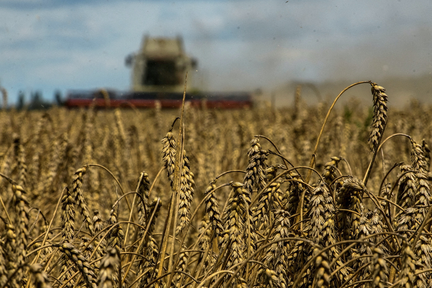 Céréales ukrainiennes : l'UE accorde une aide de 100 millions d'euros à cinq pays de l'Europe de l'Est