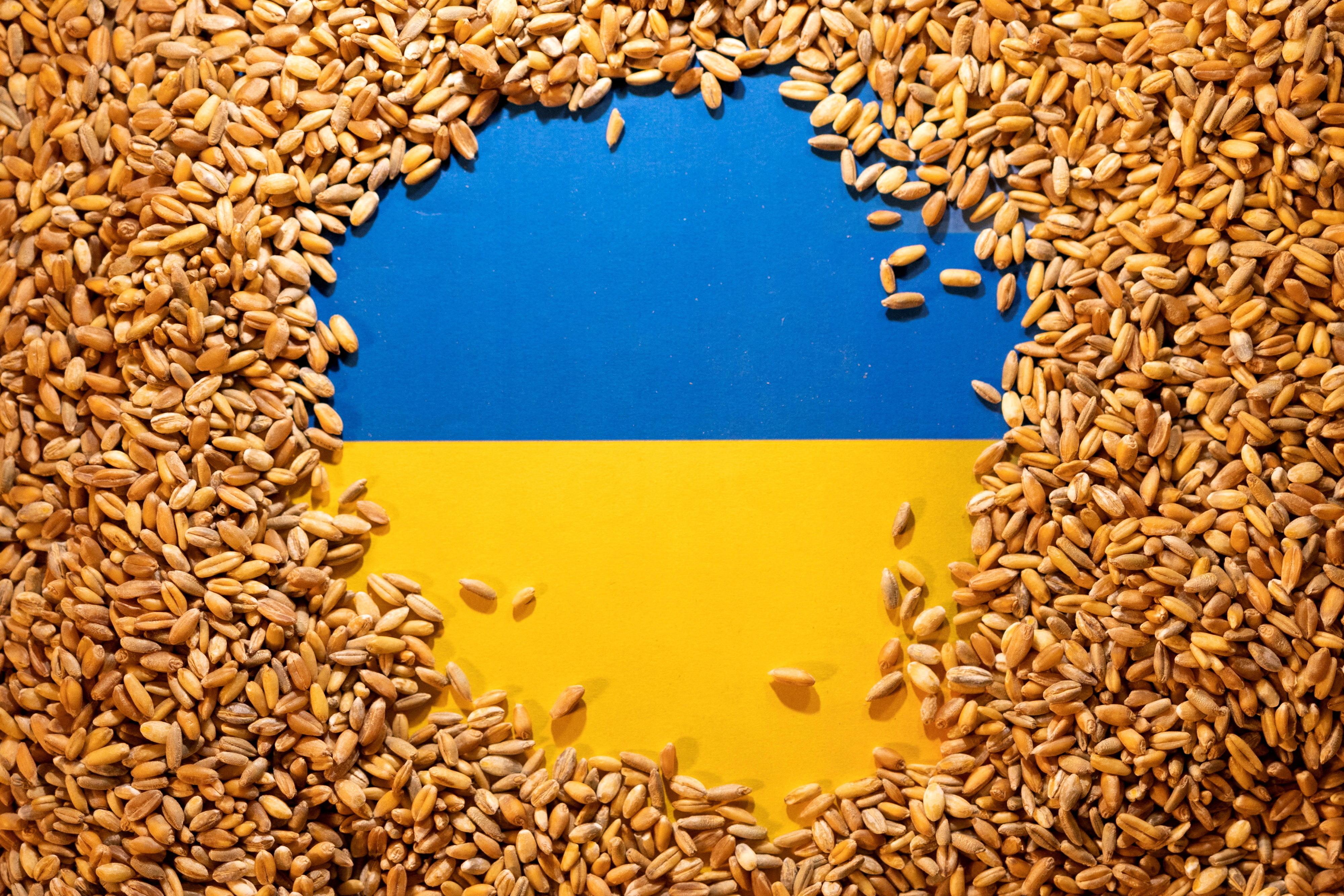 L'accord sur les céréales ukrainiennes au coeur des préoccupations du G7