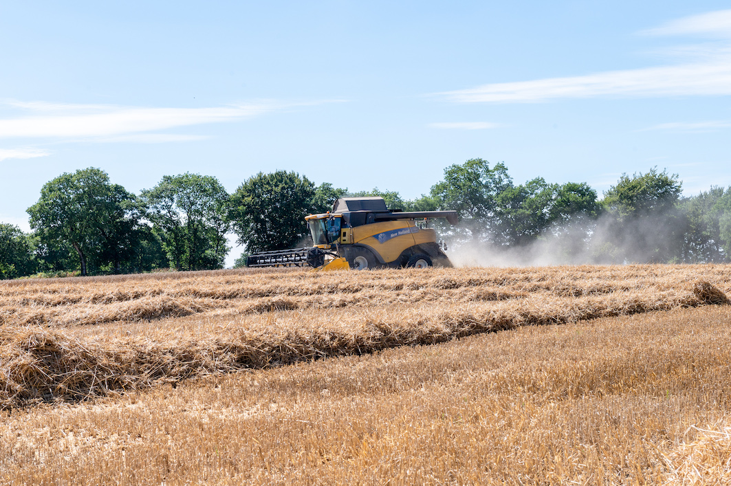 Céréales : l'UE prolonge les restrictions sur les importations ukrainiennes