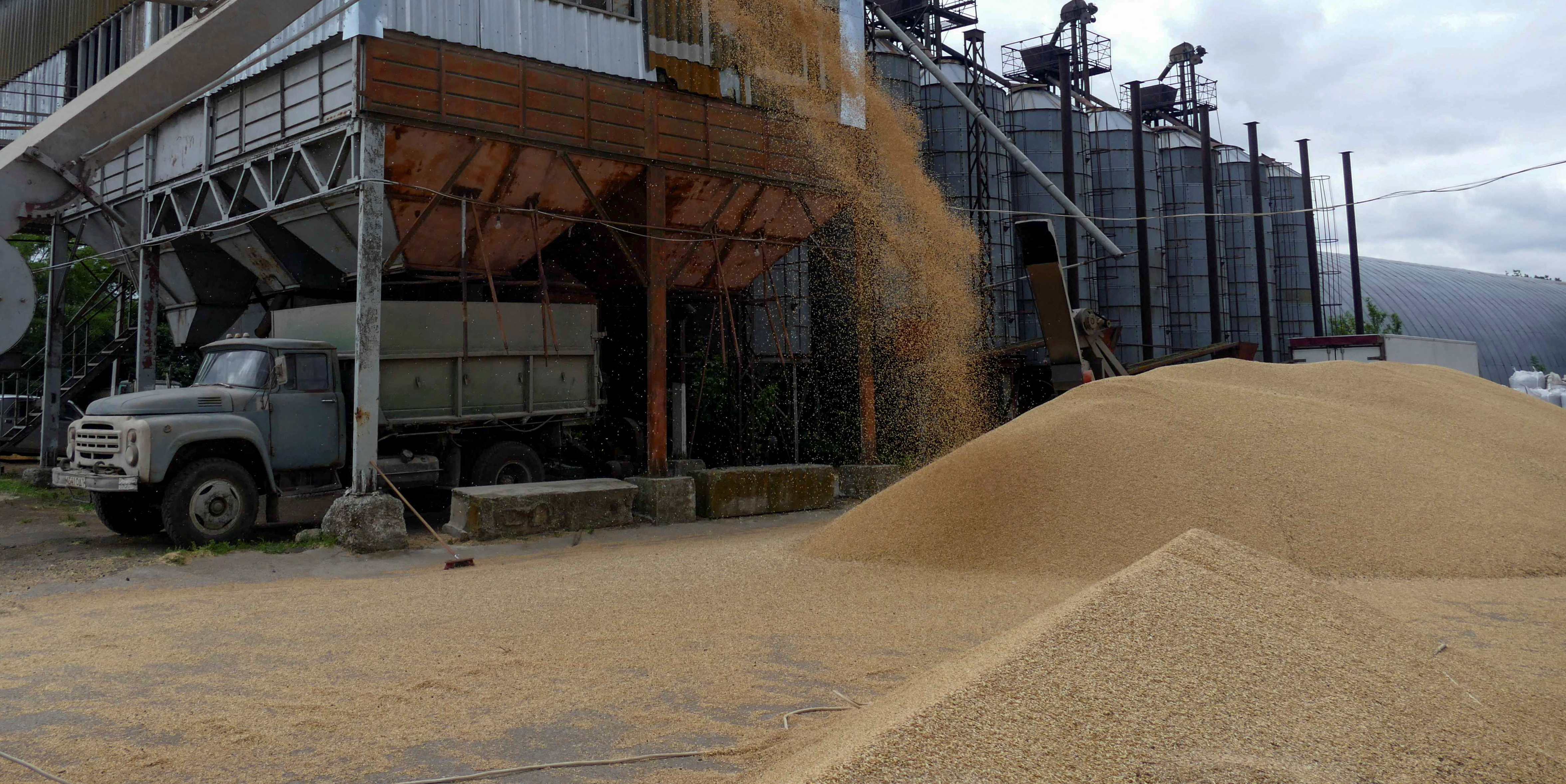 Céréales : les exportations ukrainiennes chutent, l'ONU s'inquiète pour la sécurité alimentaire mondiale