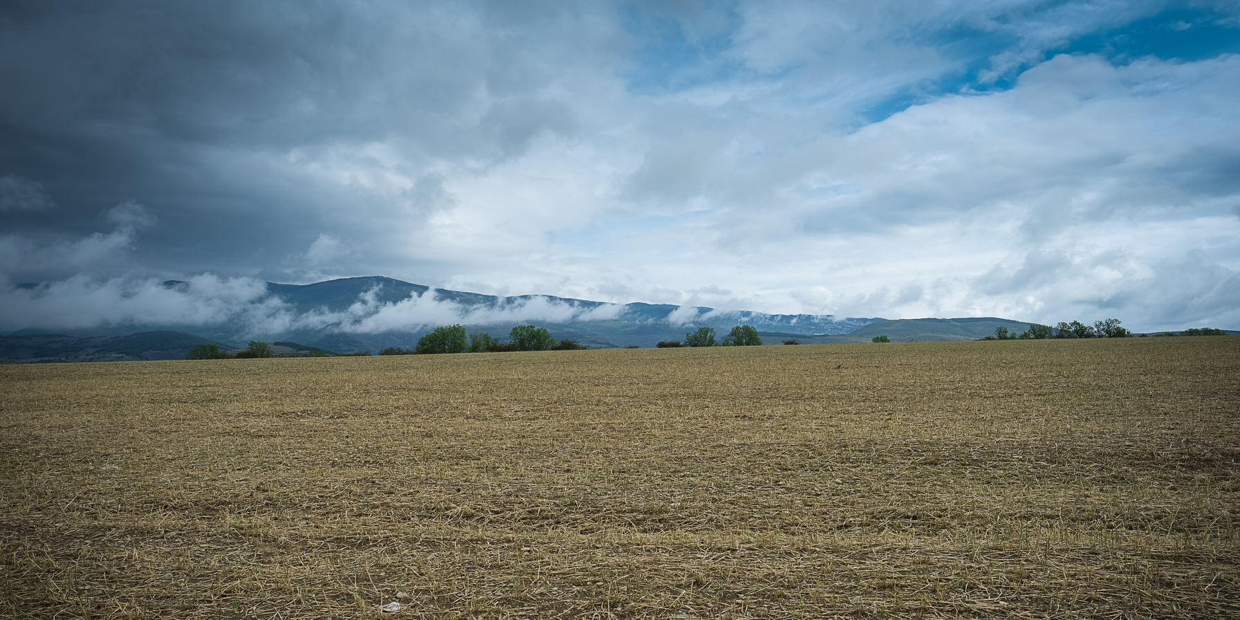 Foncier agricole en Occitanie : vitalité des surfaces échangées et du marché des forêts