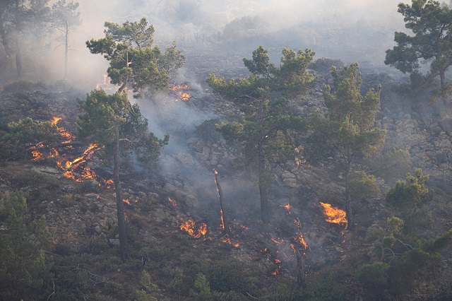 Grèce : les violents incendies font des ravages sur le tourisme et la nature