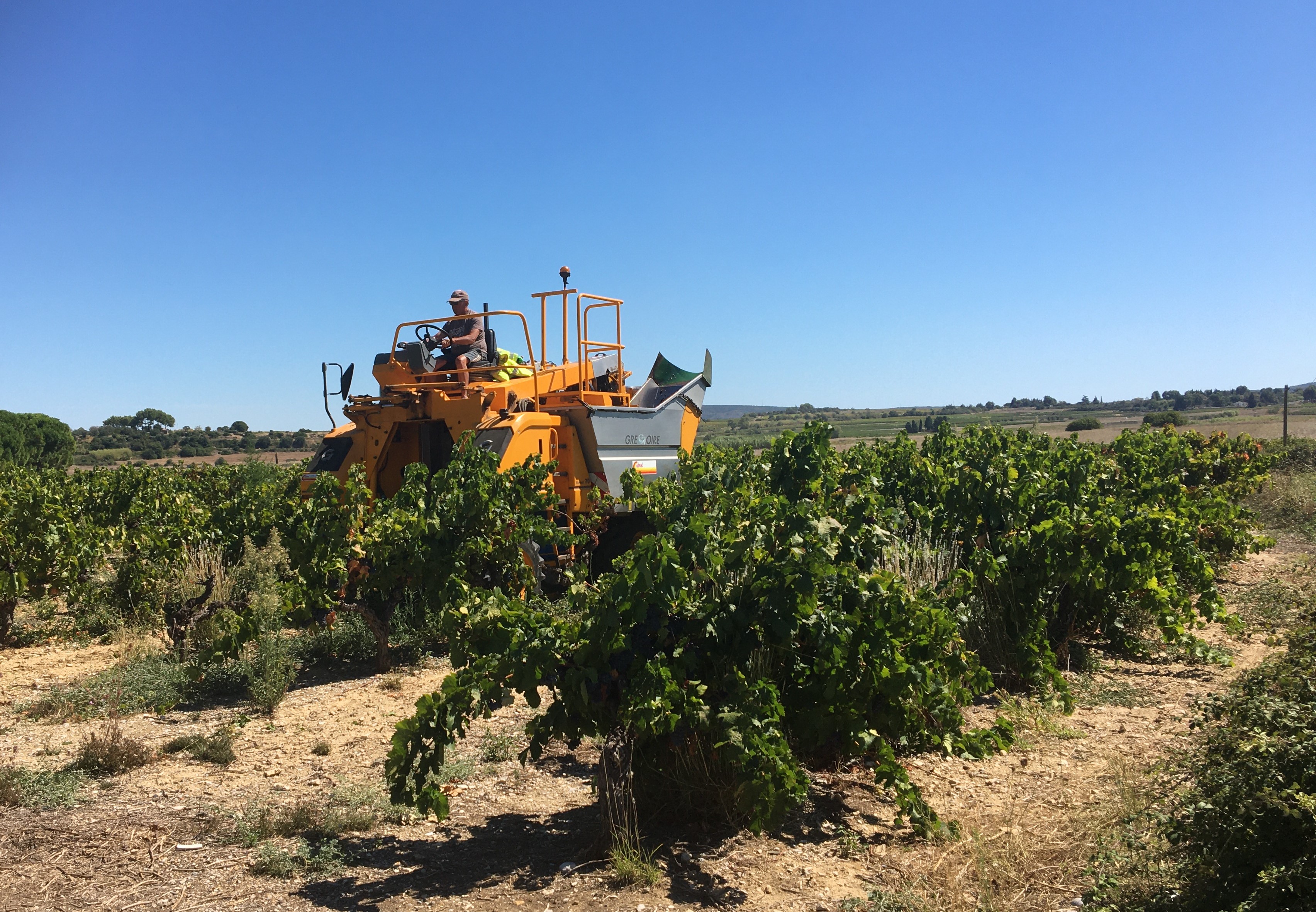 Le Sitevi mise sur l'innovation technologique pour relever les défis de la filière viticole, malgré la crise