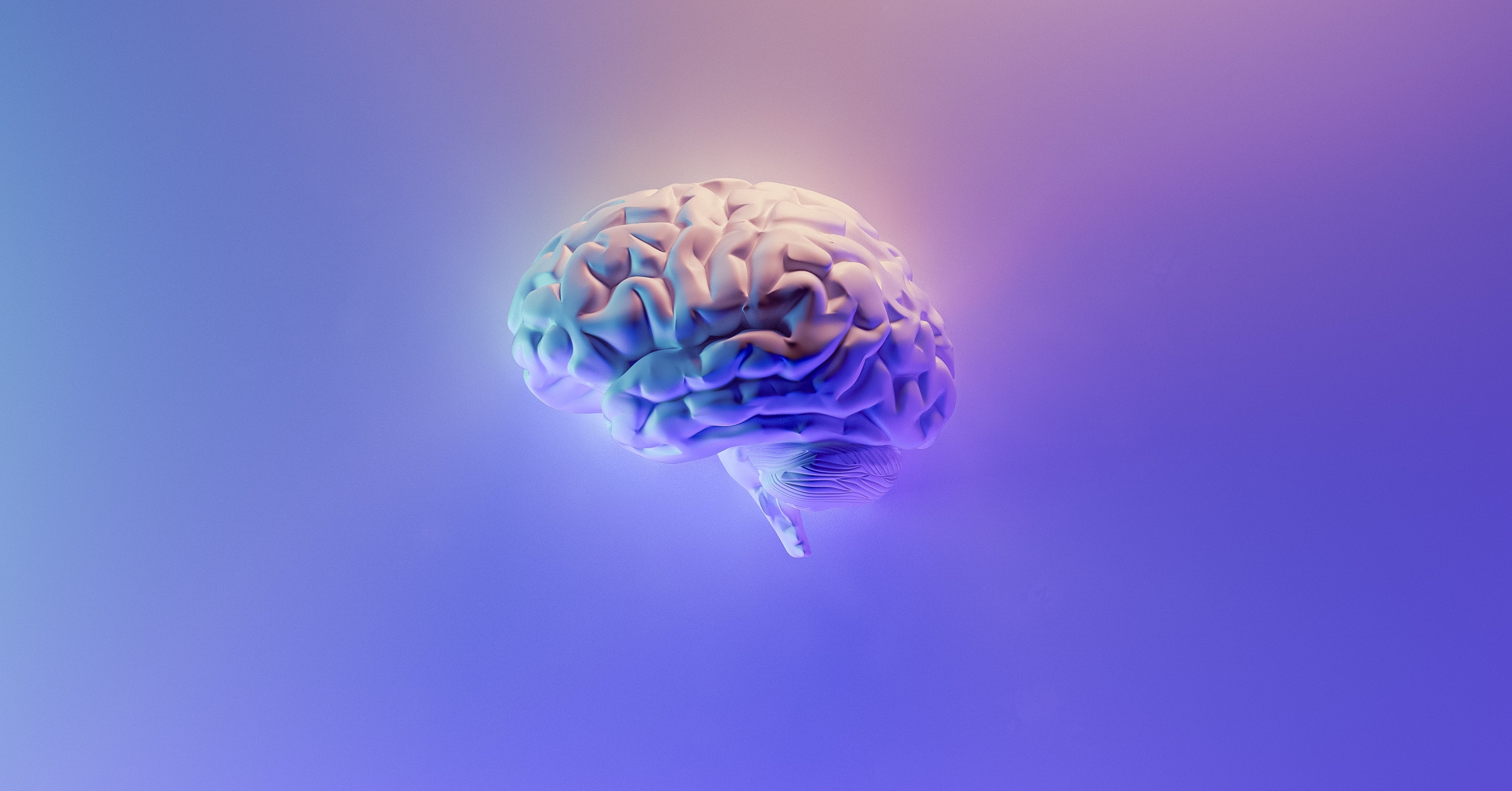Le cerveau, nouvelle frontière technologique