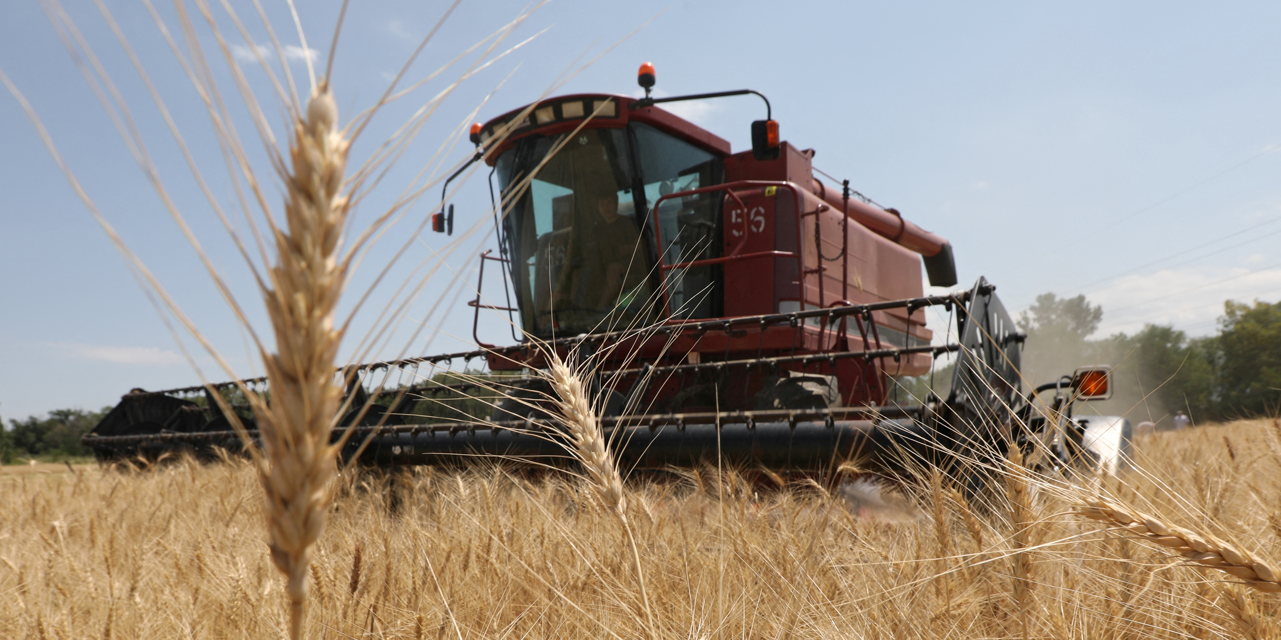 Polémique sur les céréales : l'Ukraine négocie avec la Pologne et la Slovaquie