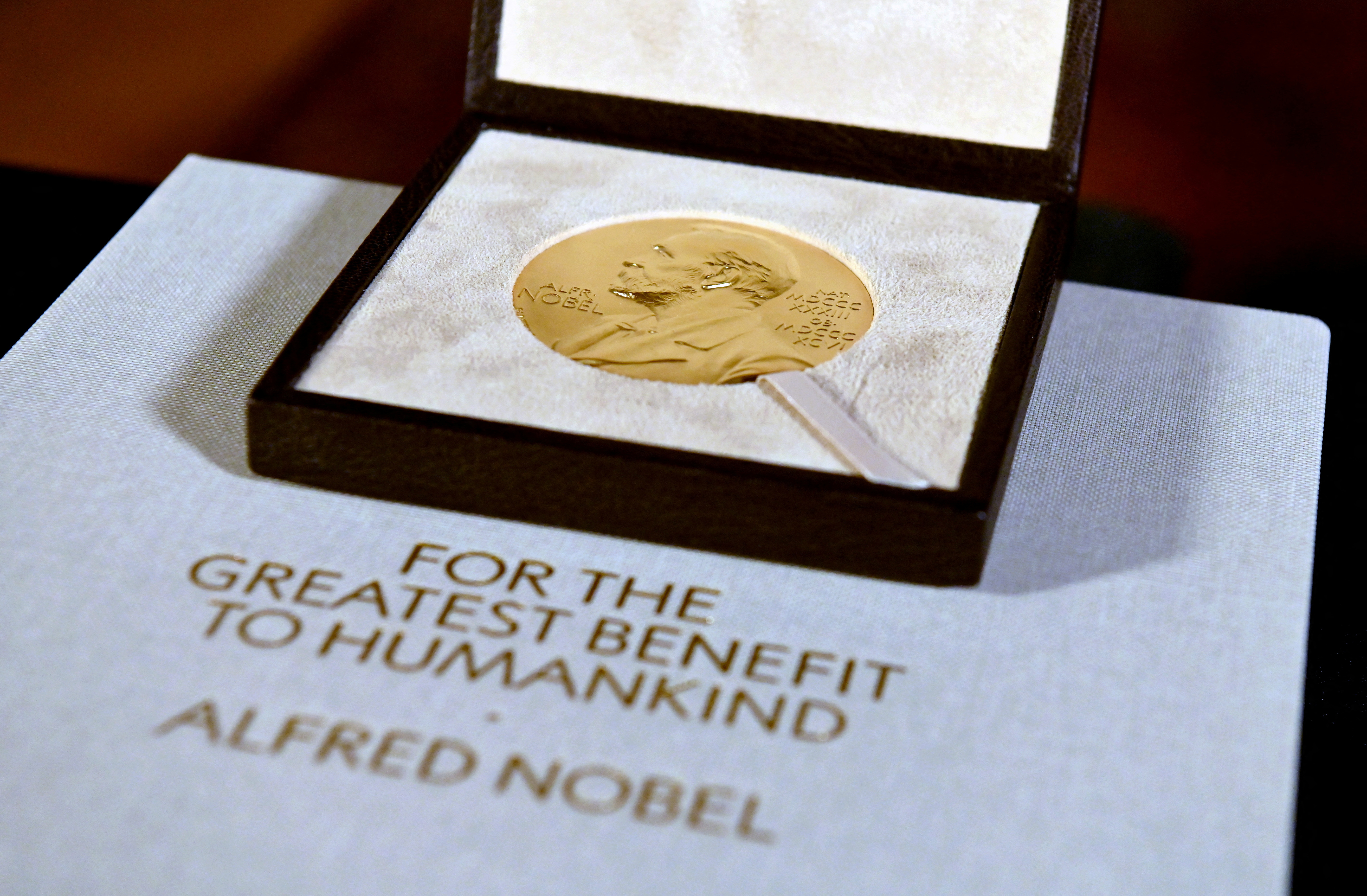 Le prix Nobel d'économie récompense Claudia Goldin pour ses travaux sur la place des femmes sur le marché de l'emploi