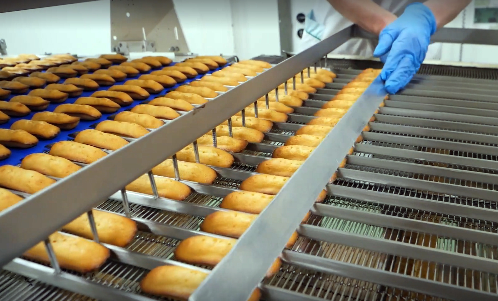 Après le rachat de la biscuiterie Mistral, Dijon Céréales veut exporter la madeleine made in Bourgogne