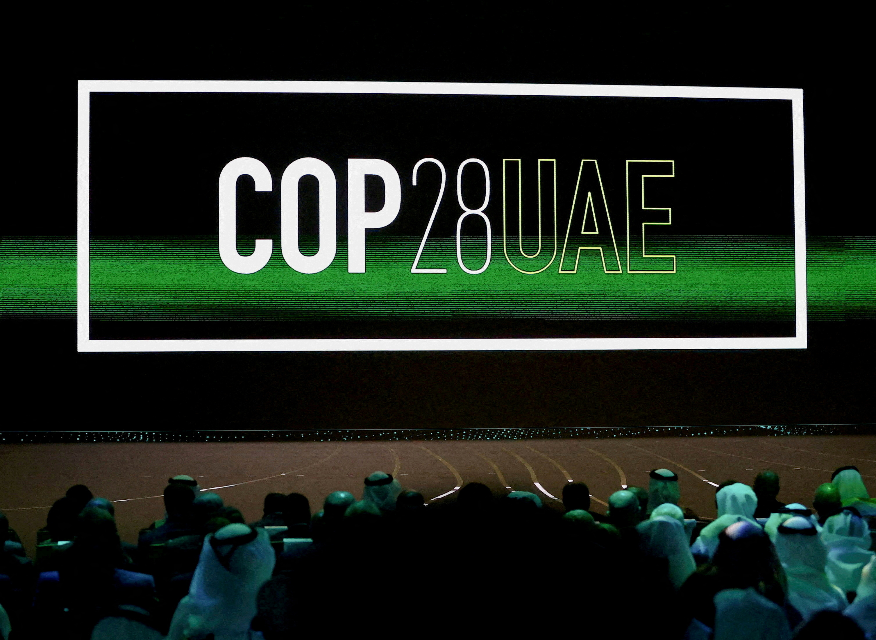 COP28 : l'objectif en trompe-l'oeil d'un triplement des capacités des énergies renouvelables