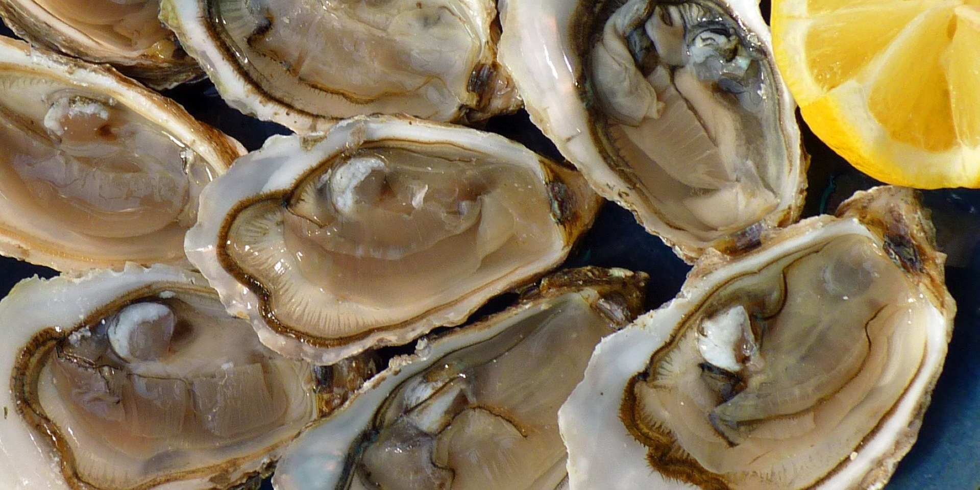 Coup dur pour les huîtres du Bassin d'Arcachon interdites à la vente à quelques jours du réveillon