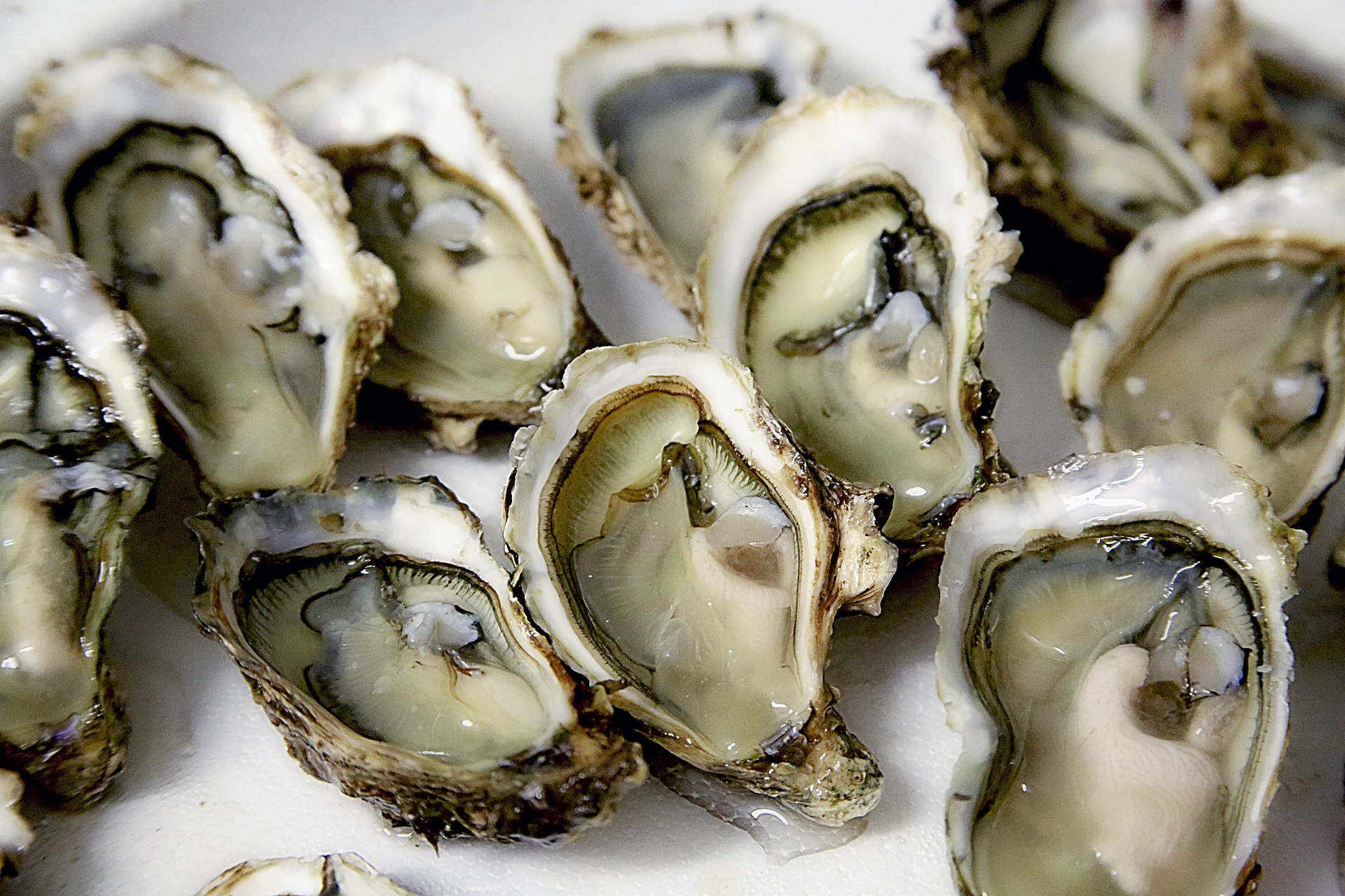 Nouveau coup dur pour les ostréiculteurs : les ventes d'huîtres du Calvados (Normandie) interdites