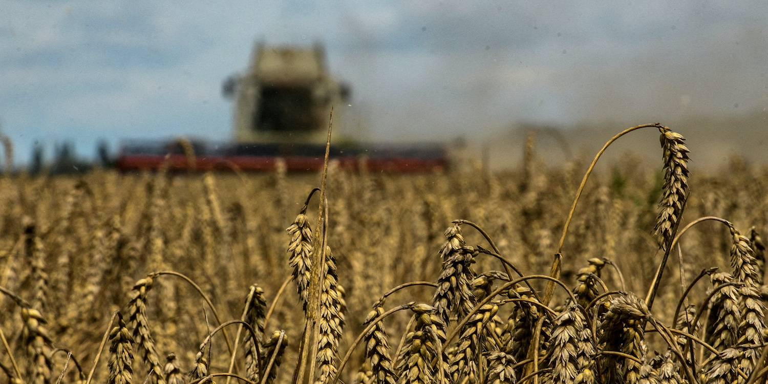 Des agriculteurs polonais détruisent des céréales ukrainiennes à destination de l'UE, la tension monte avec Kiev