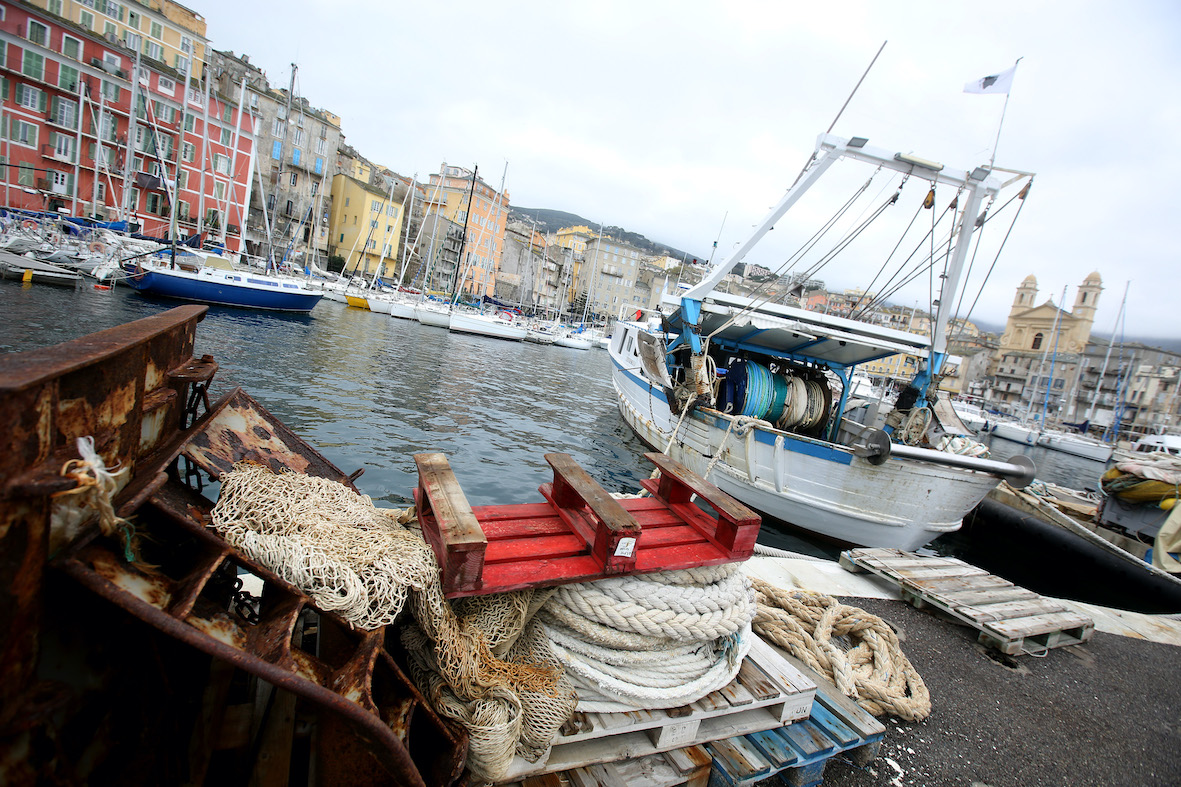 En Corse, la filière de la pêche professionnelle s'enfonce dans la crise