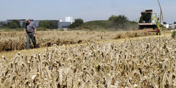 Importations agricoles d'Ukraine : l'UE entérine un accord plus restrictif, mais (toujours) sans plafonner le blé