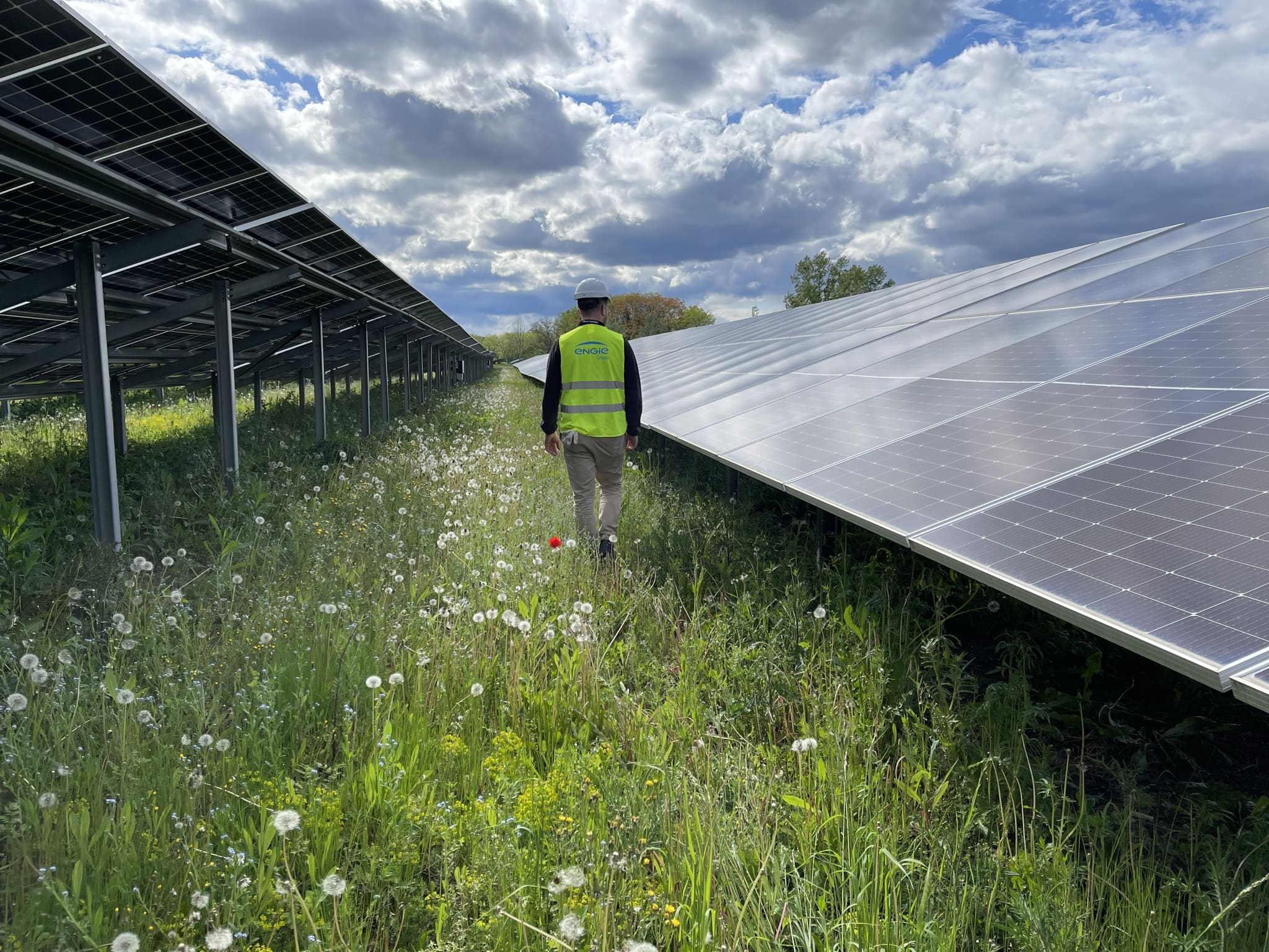 Photovoltaïque : pour décarboner les panneaux solaires, Solreed propose la voie de la réparation