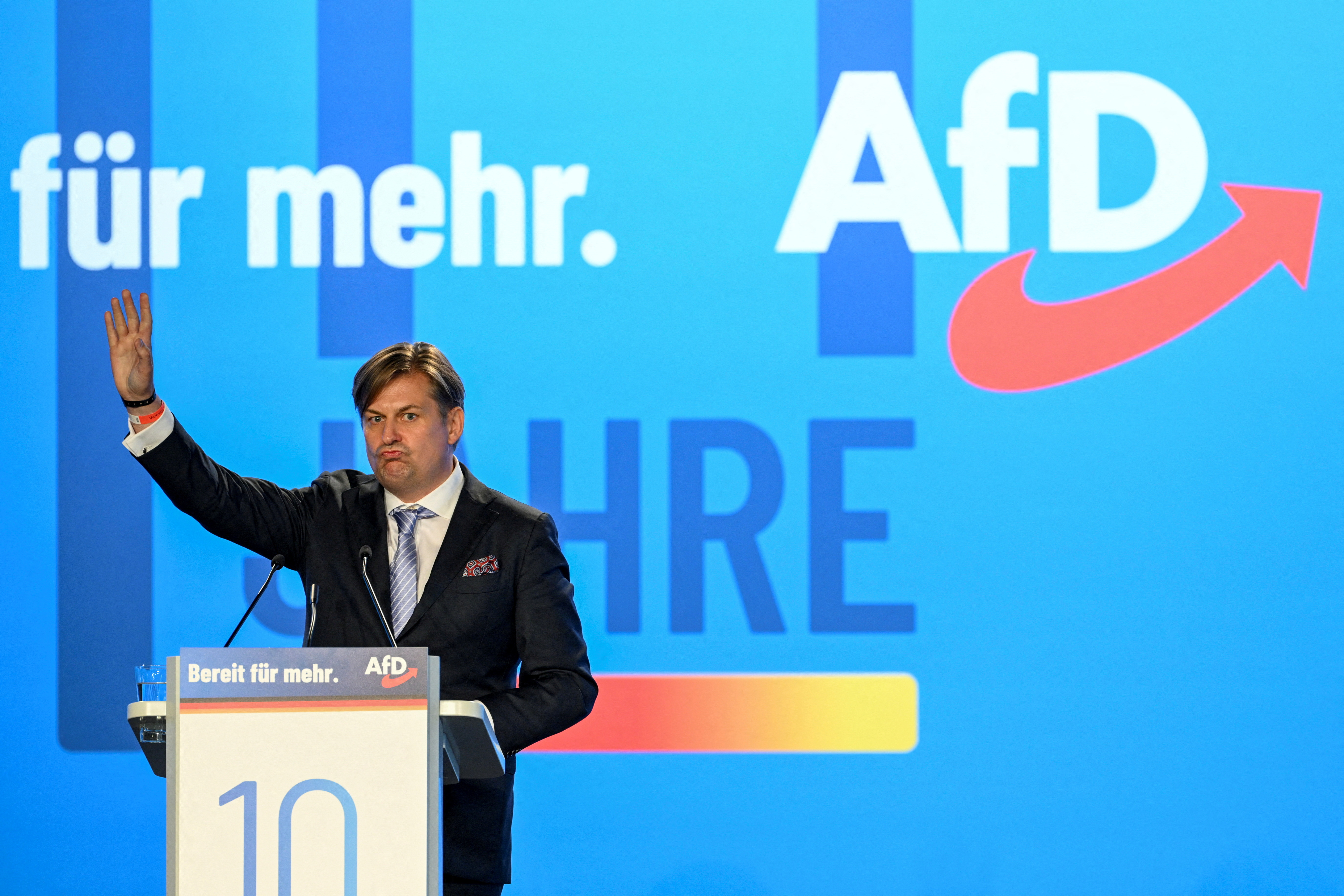 Européennes : le parti d'extrême droite allemand AfD écarte sa tête de liste