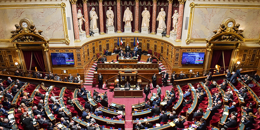 Cabinets de conseil: le Sénat adopte la proposition de loi sans certains amendements défendus par le gouvernement