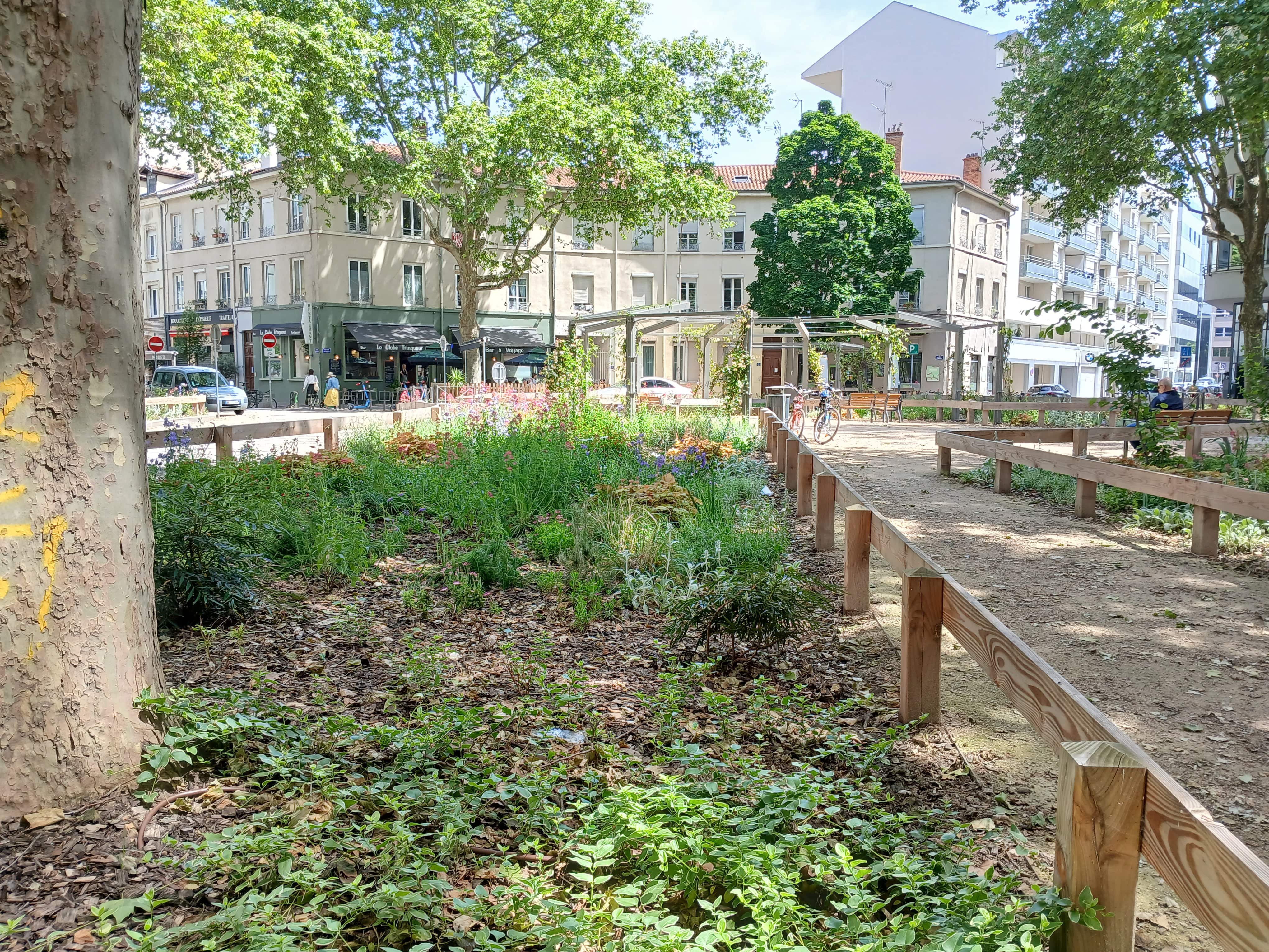 Climat : à Lyon, le plan de végétalisation s'attaque aux îlots de chaleur urbains... jusqu'aux copropriétés