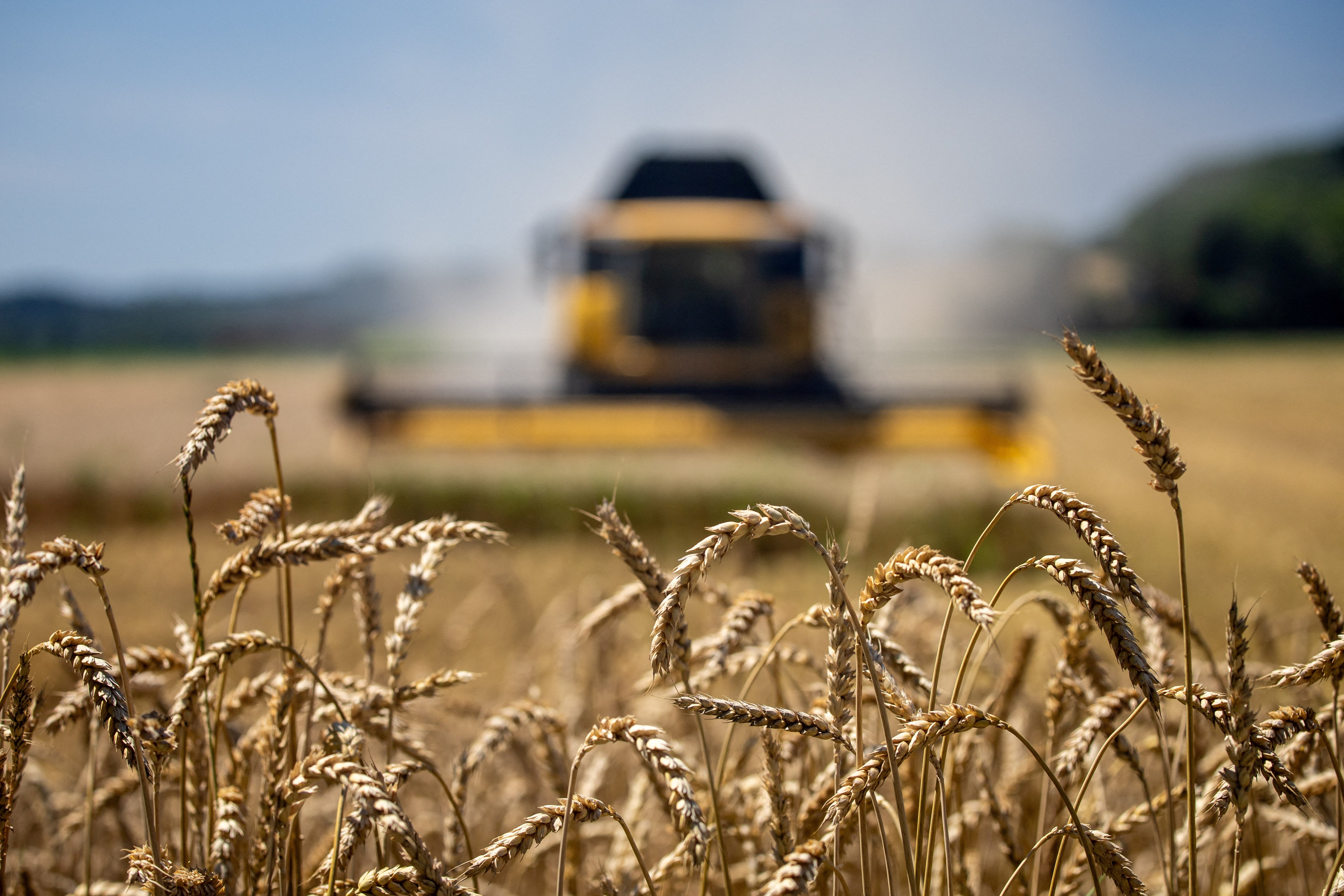 Changement climatique : s'adapter, la course contre la montre des agriculteurs