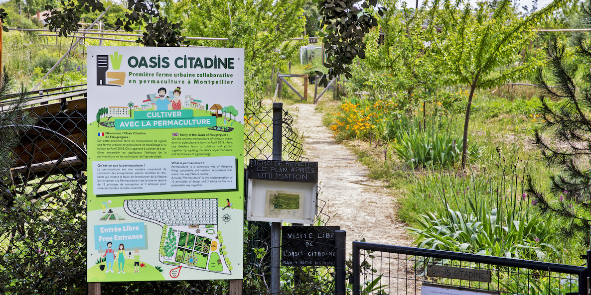 L'agriculture urbaine pousse dans les quartiers populaires