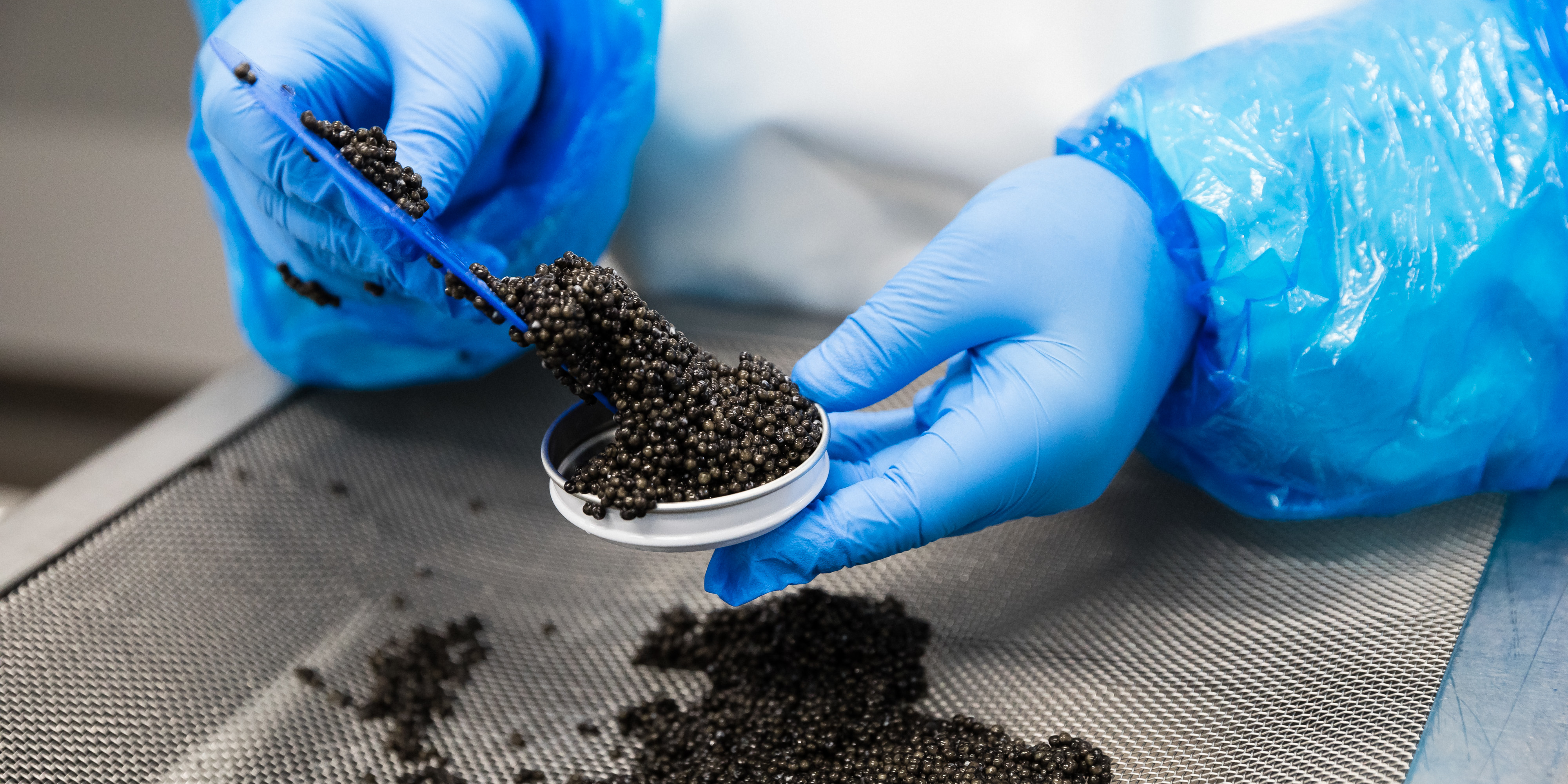 Le caviar français prépare sa riposte face à la Chine