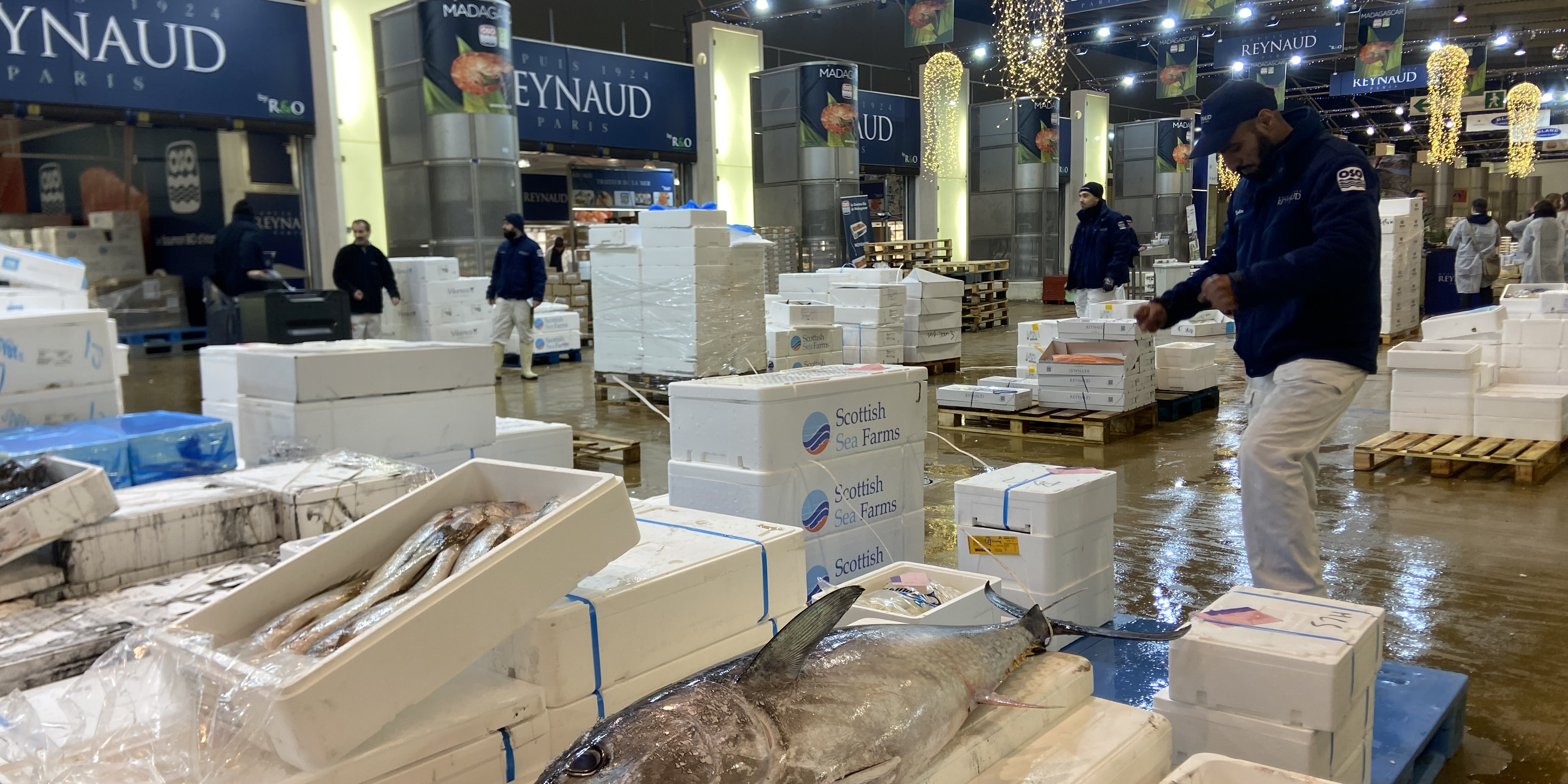 « Cette année, Noël, c'est plutôt crevette que langouste » : reportage dans les allées du marché de Rungis