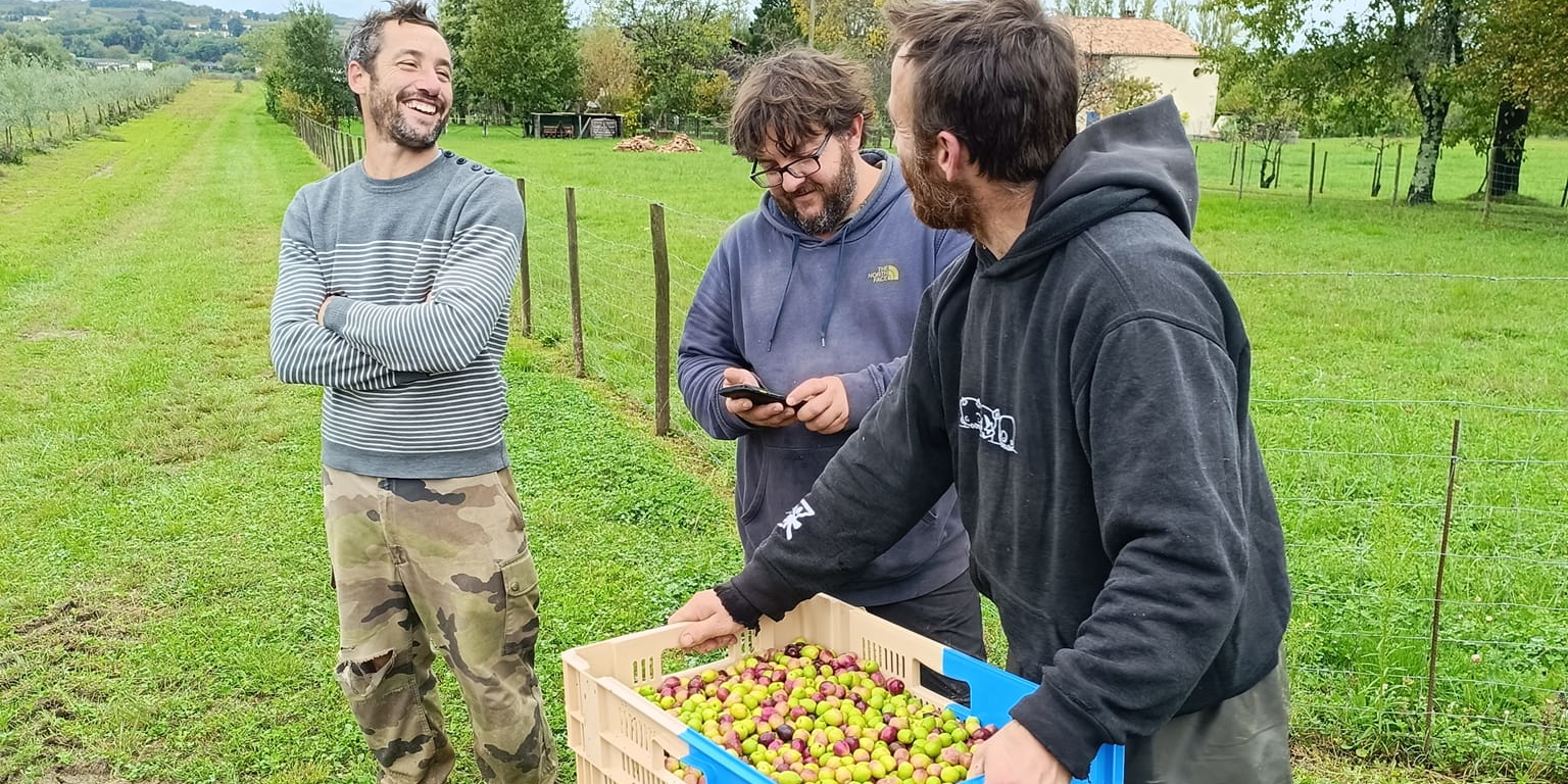 Vin sans alcool ou huile d'olive : les vignerons bordelais s'adaptent à la crise