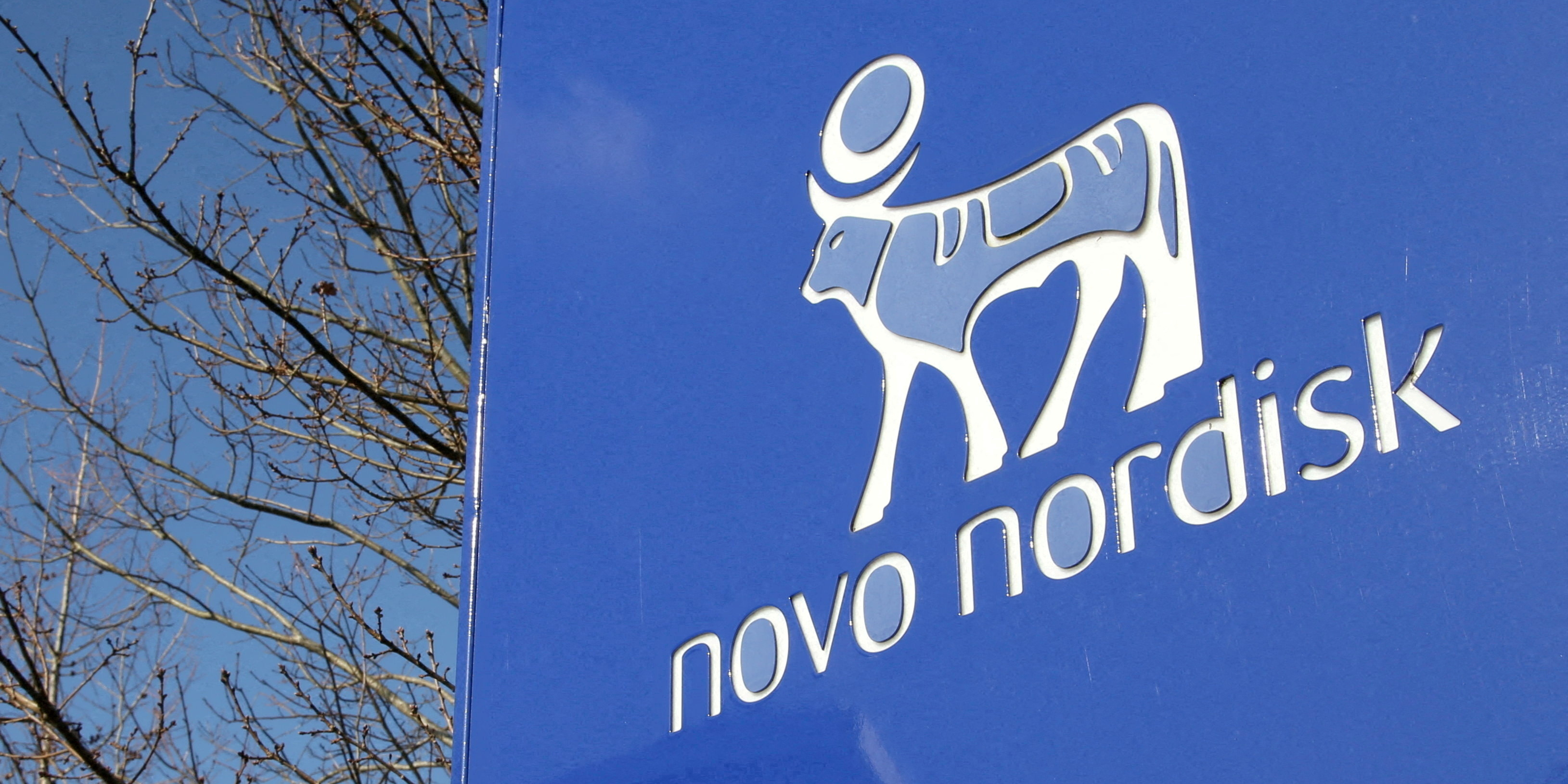 Novo Nordisk investit un montant colossal dans une nouvelle usine