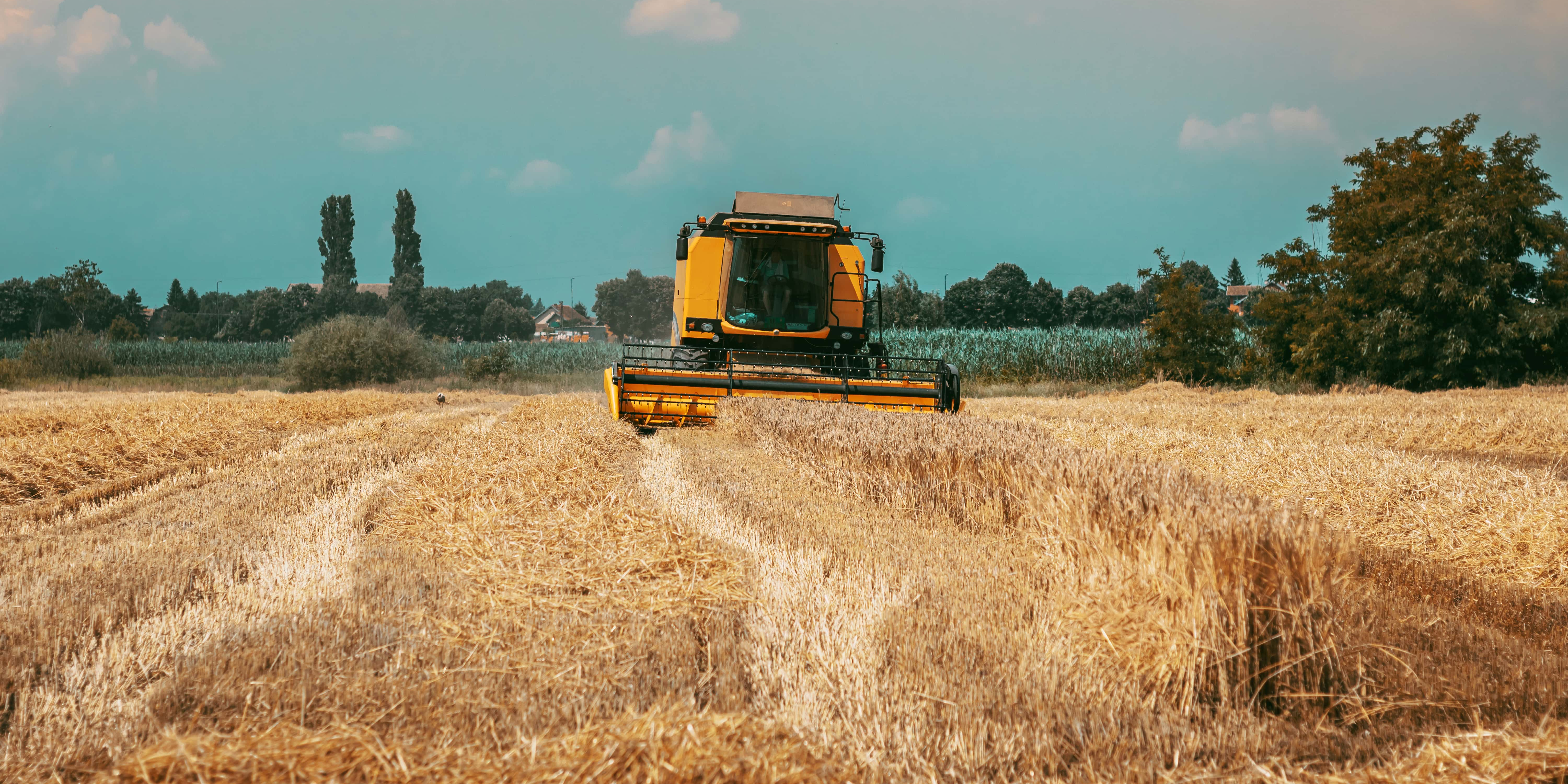 Climat, compétitivité : les coopératives agricoles françaises en difficulté