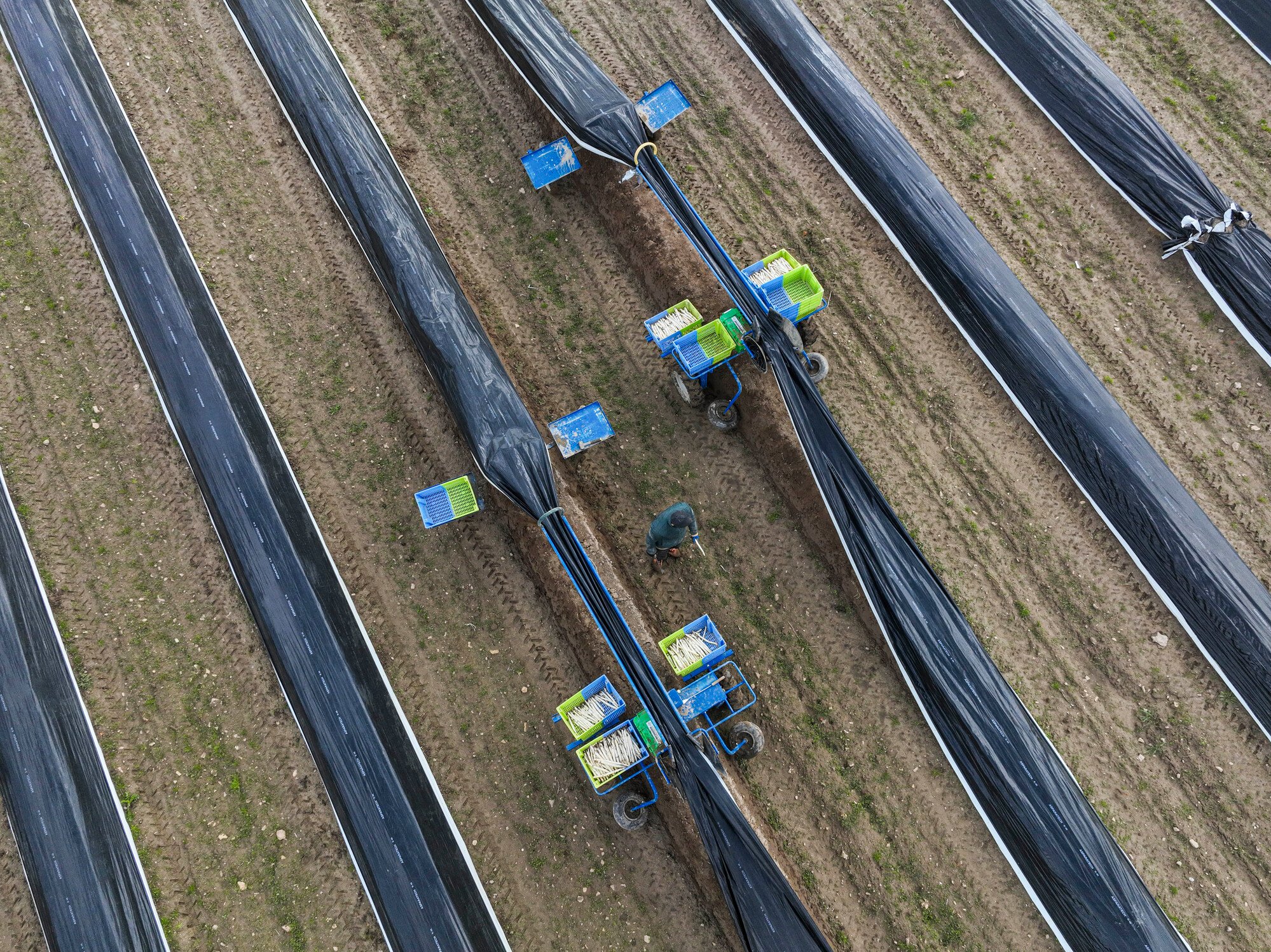 Les agriculteurs français pris au piège des microplastiques