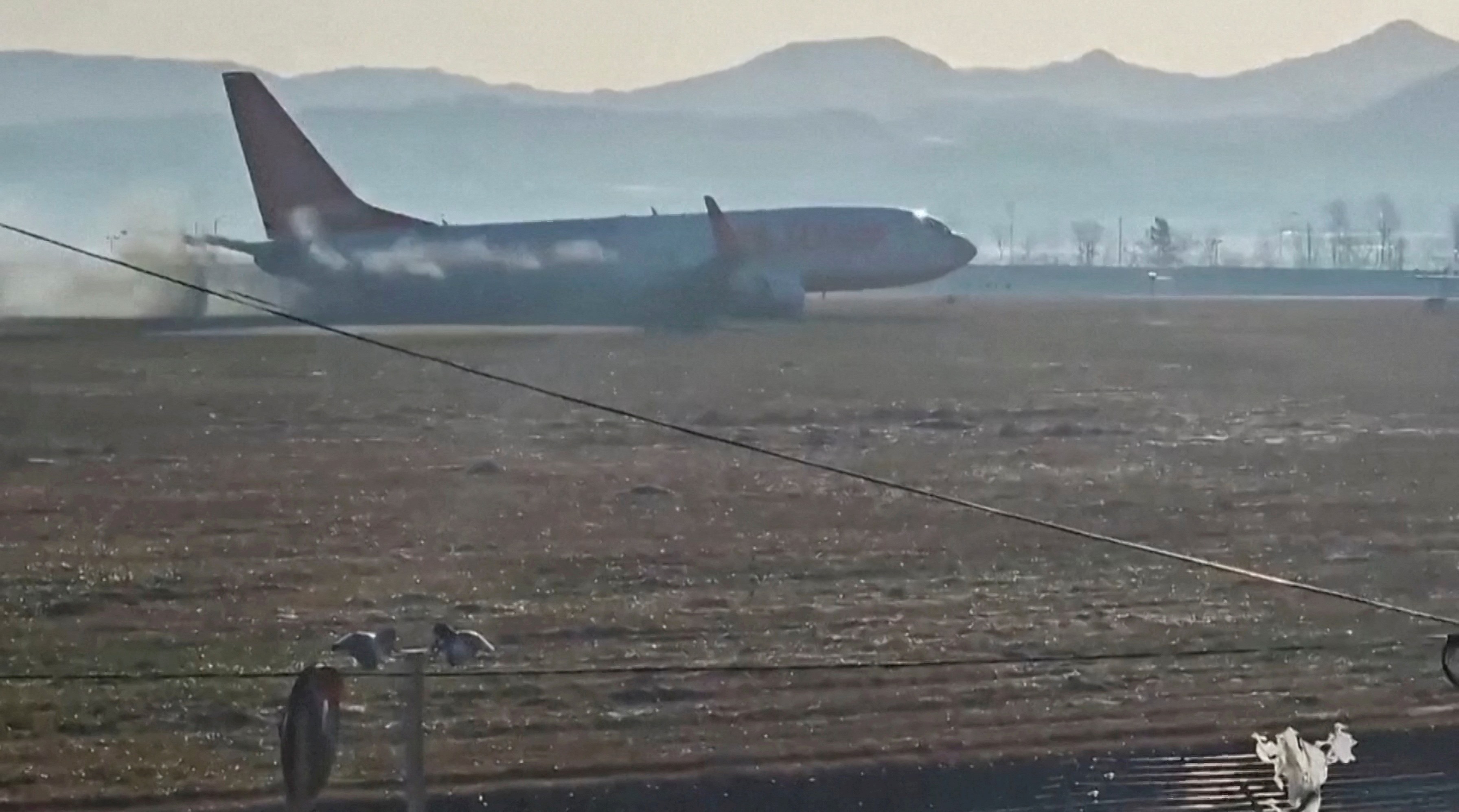 Un avion s'écrase en Corée du Sud suite à une collision avec des oiseaux