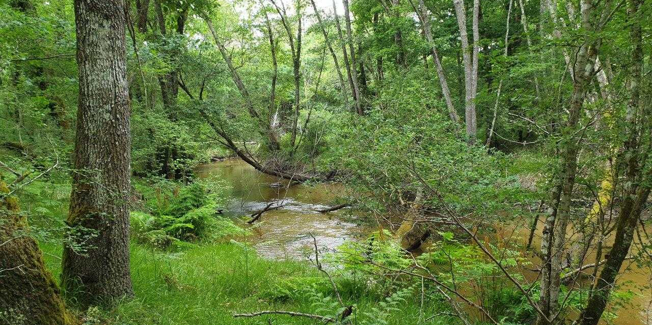 Les droits des fleuves, nouvelle source de protection environnementale