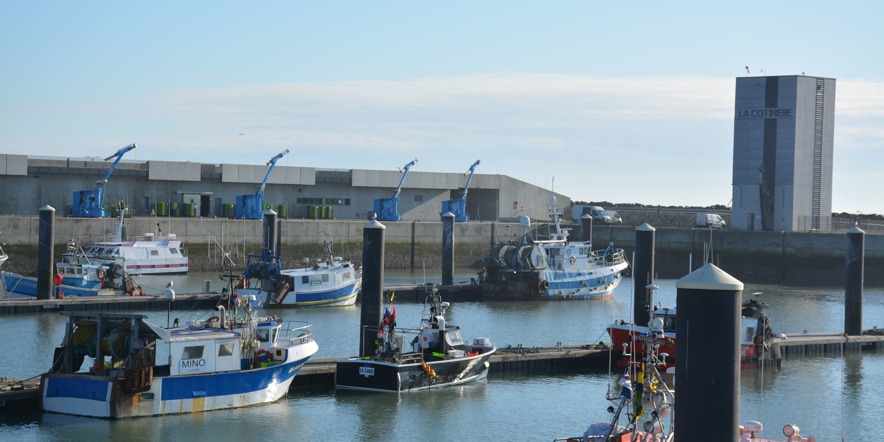 Golfe de Gascogne : « L'arrêt de la pêche on n'est pas contre, mais pas comme ça »