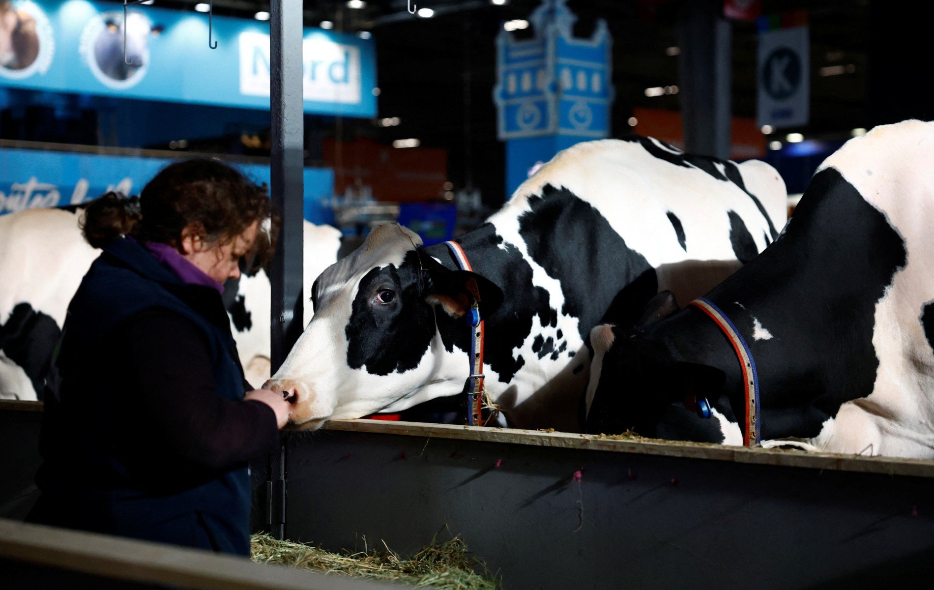 Le Salon de l'agriculture à la recherche d'un apaisement incertain