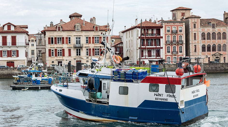 À Saint-Jean-de-Luz, sauver les dauphins et les pêcheurs