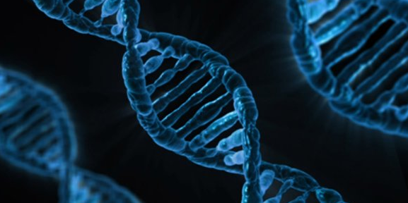 Medtech : SeqOne lève 20 millions d'euros pour se déployer aux Etats-Unis