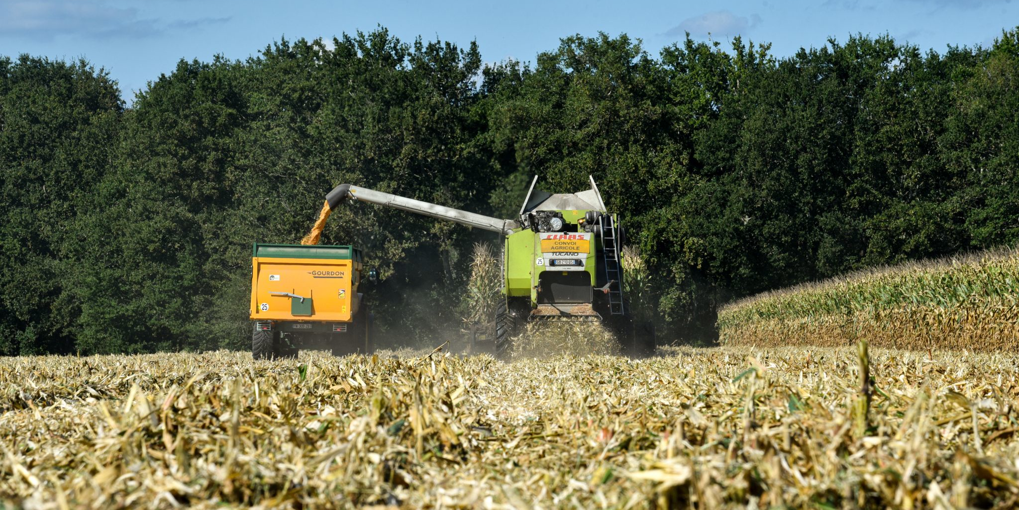 Face à l'instabilité, les coopératives agricoles à l'heure des fusions