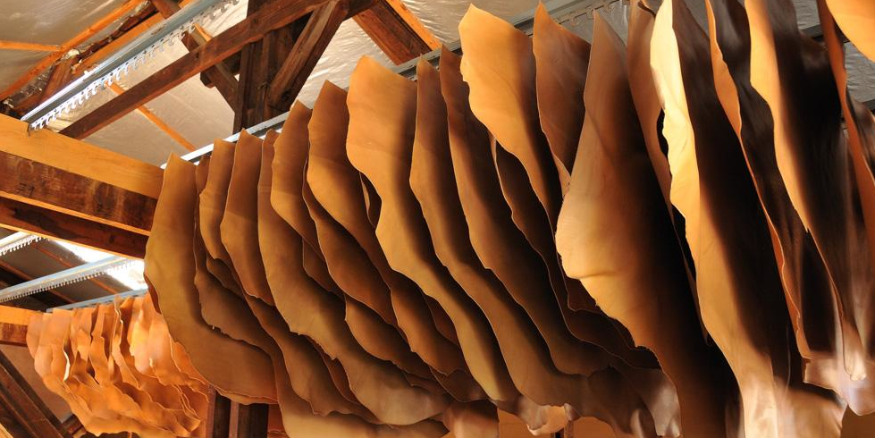 La filière française du cuir fait sa révolution durable