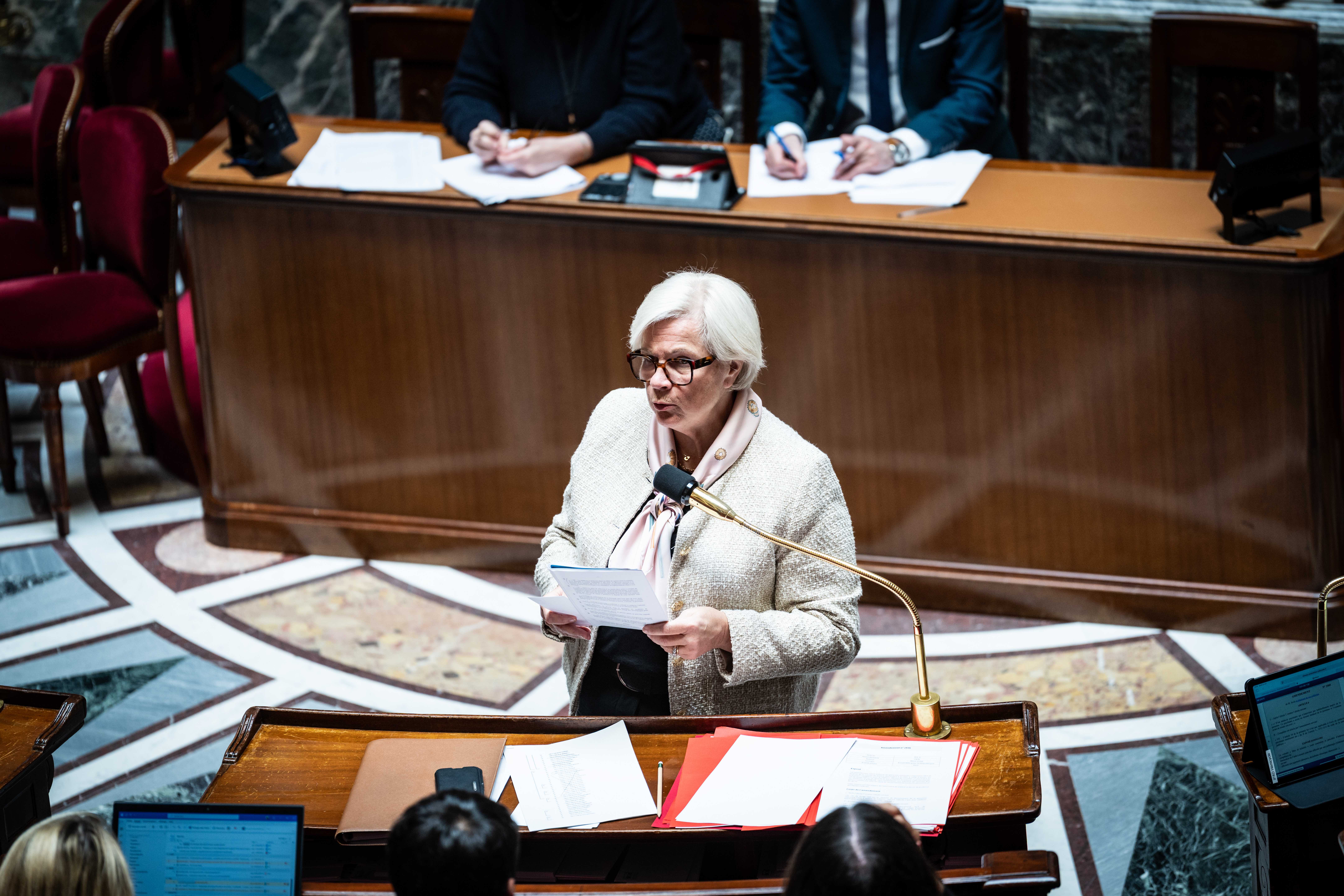 Fin de vie : les députés votent en faveur du droit à l'aide à mourir