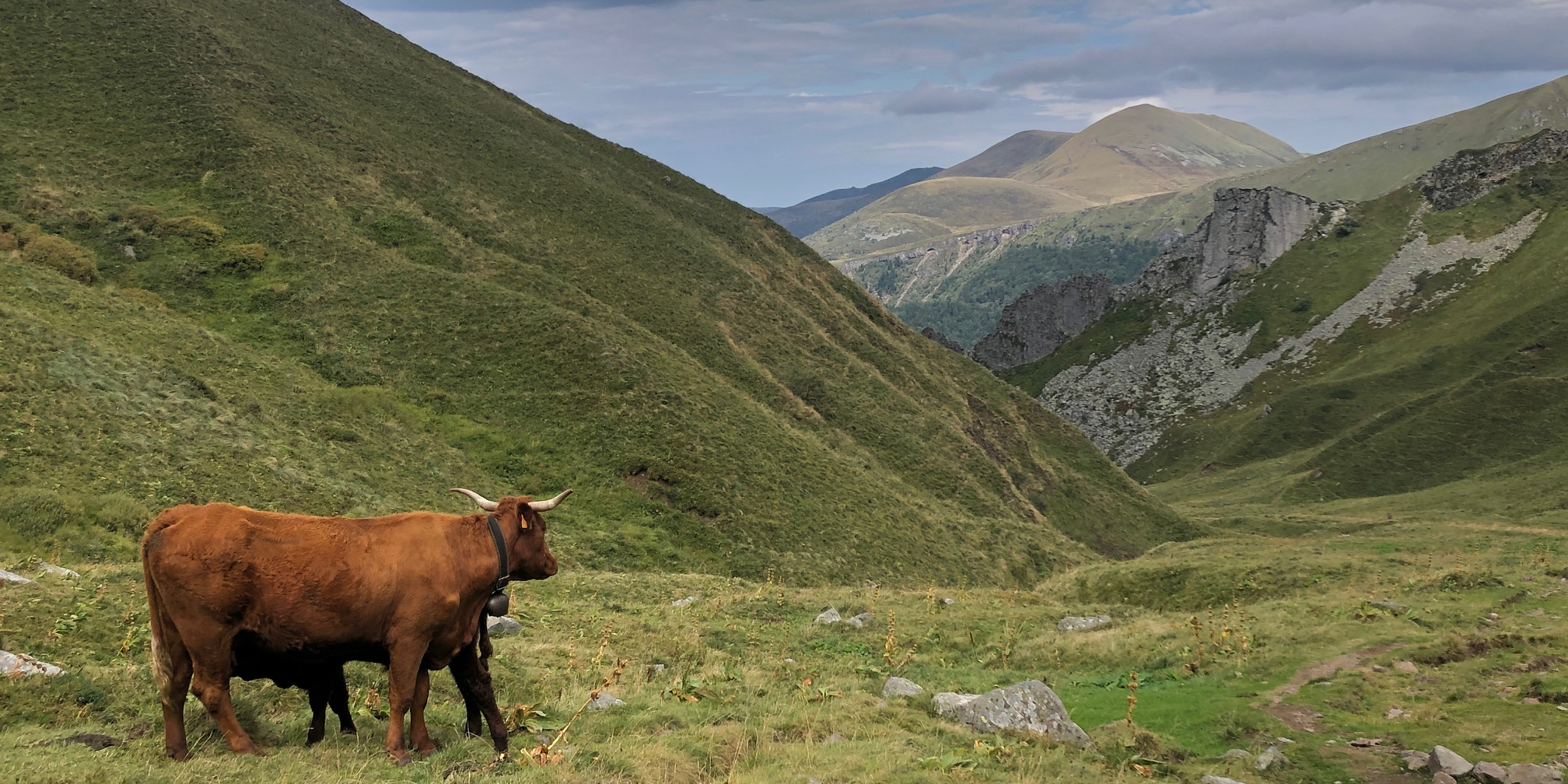 Foncier rural : des éleveurs s'organisent en collectifs pour accéder aux terres