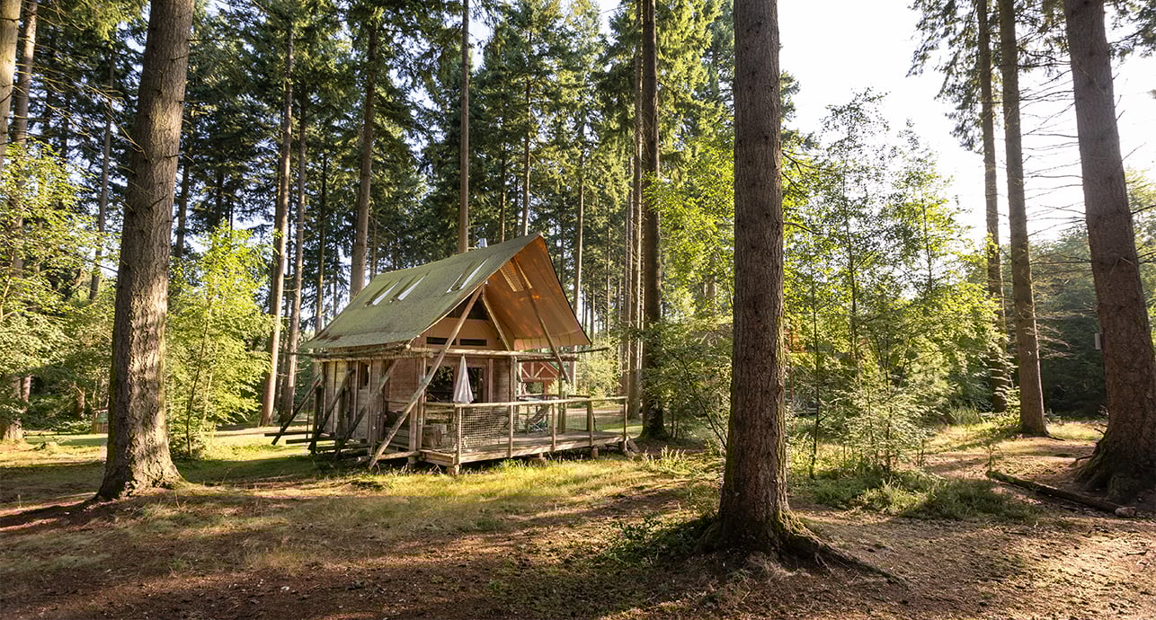 Camping rétro : la toile reprend du galon (et du style)