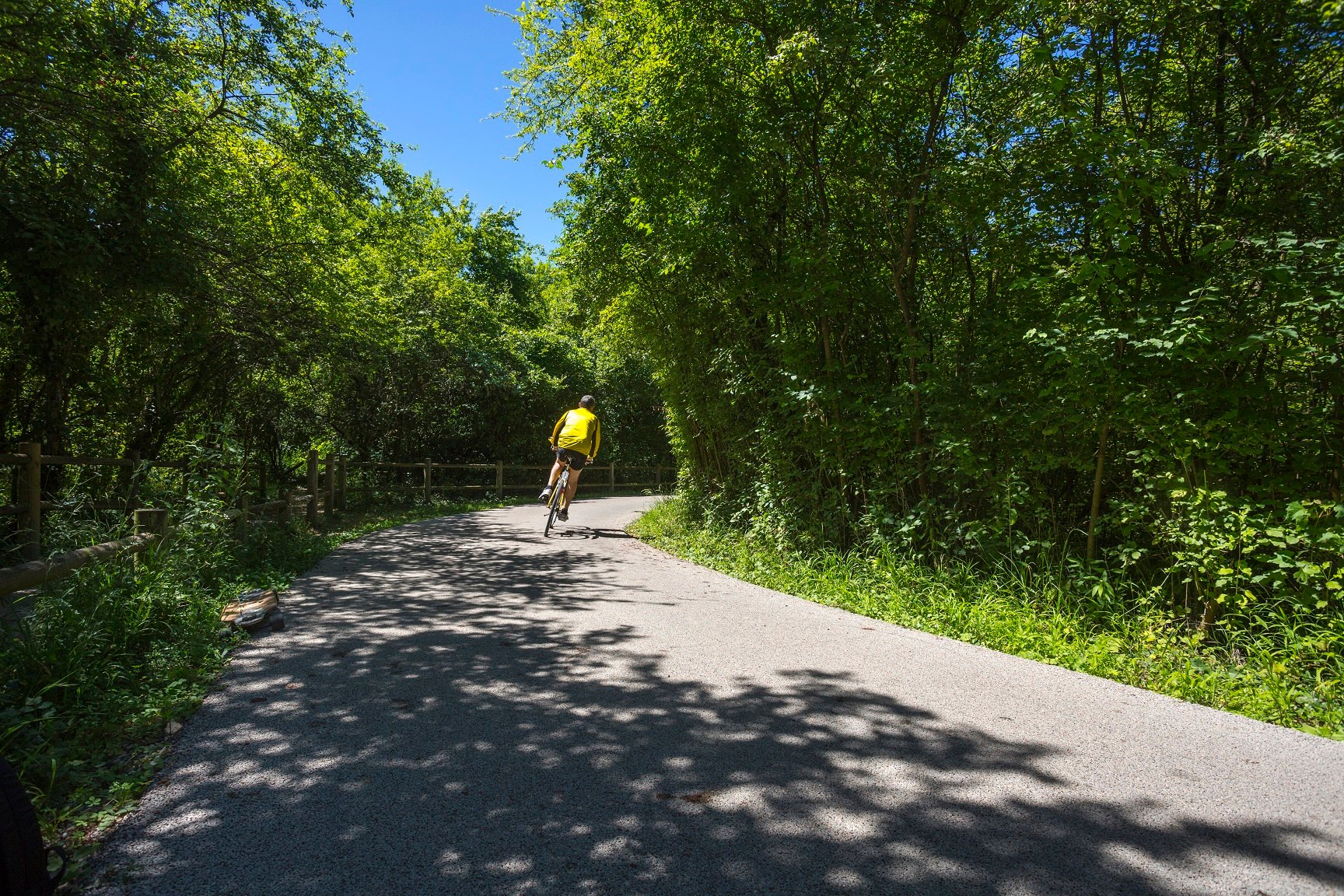 Routes : Eiffage industrialise la fabrication des liants végétaux pour remplacer le bitume