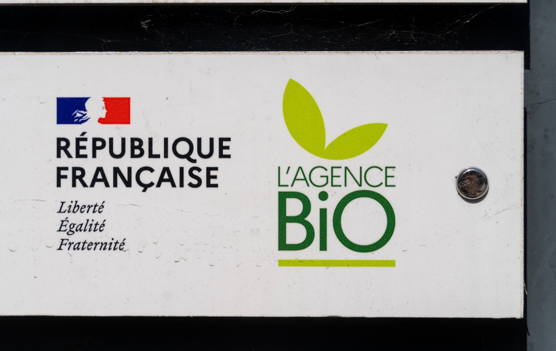 Agriculture : des sénateurs proposent de supprimer l'Agence bio