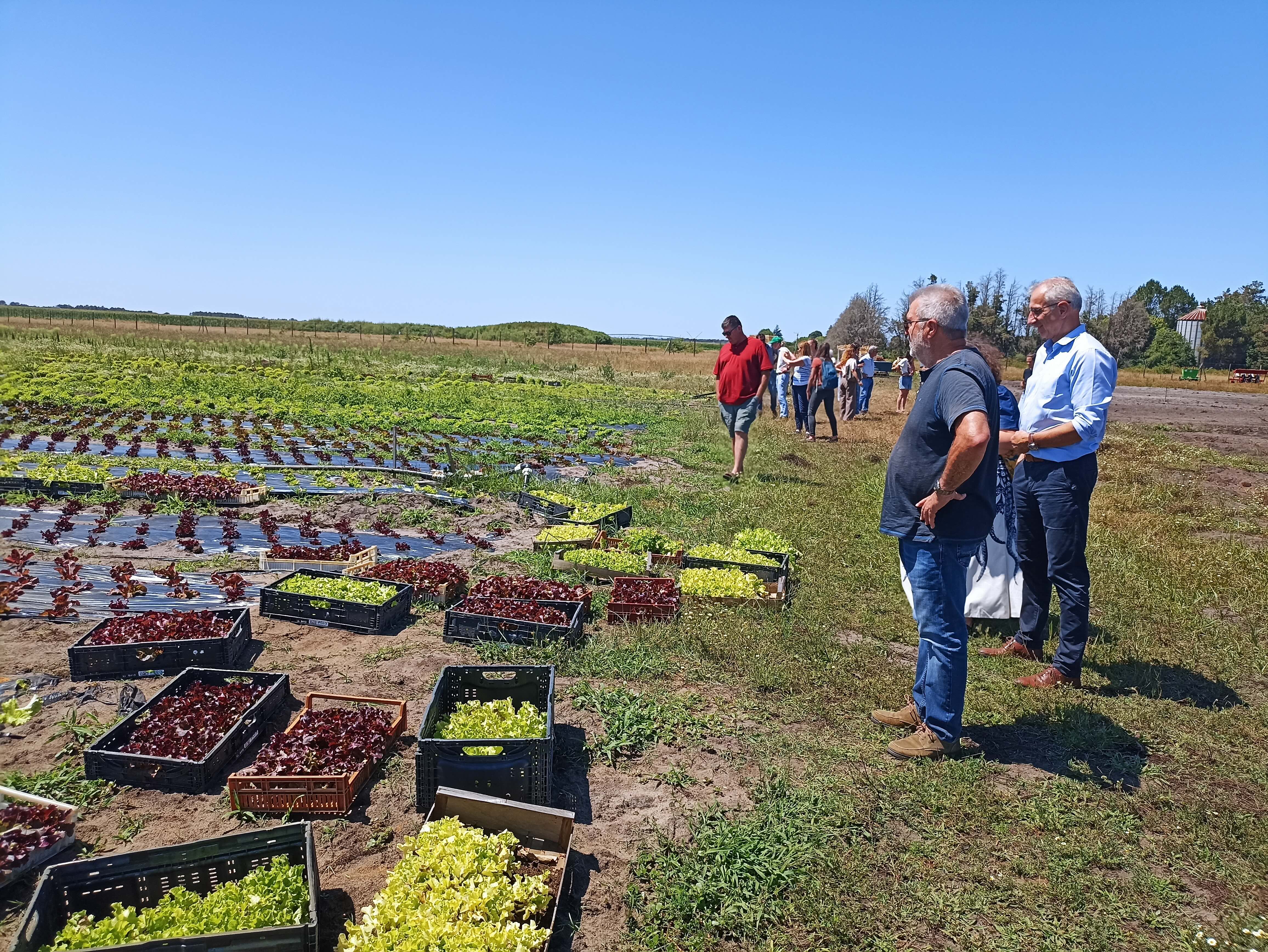 Agriculture : quand la régulation foncière fait cohabiter des modèles différents